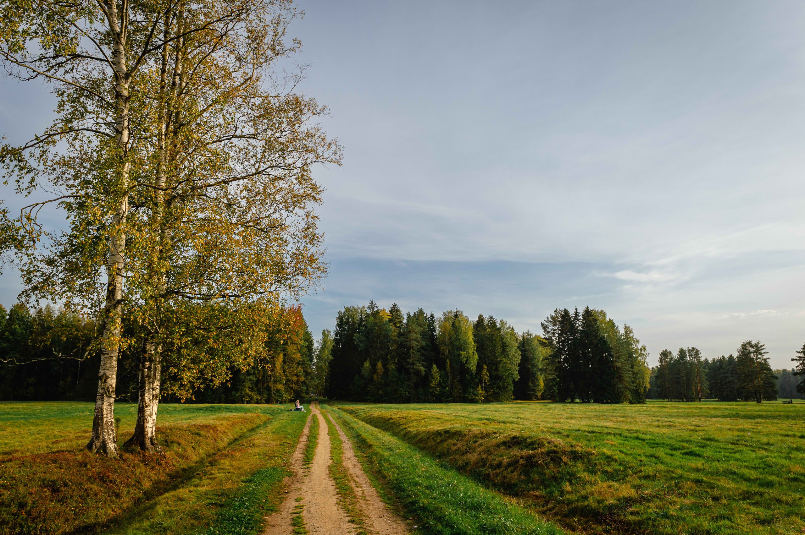 2023.09. Фотограф Алексей Алексеев