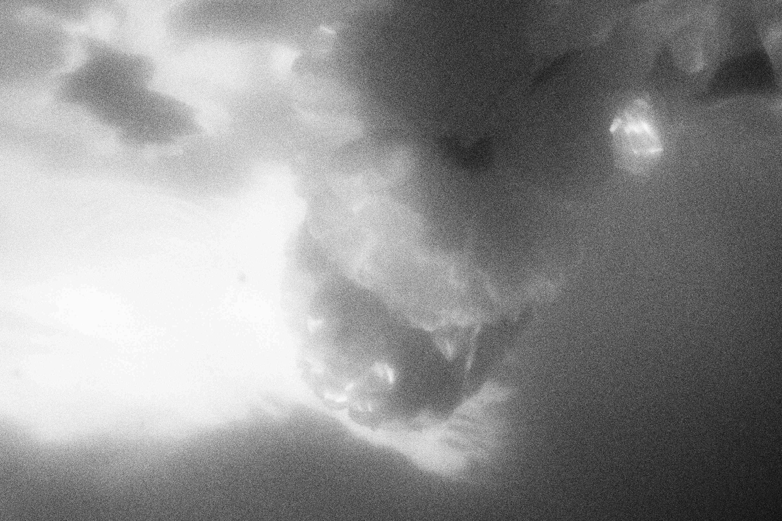 «Видеть. Чувствовать. Сохранять»