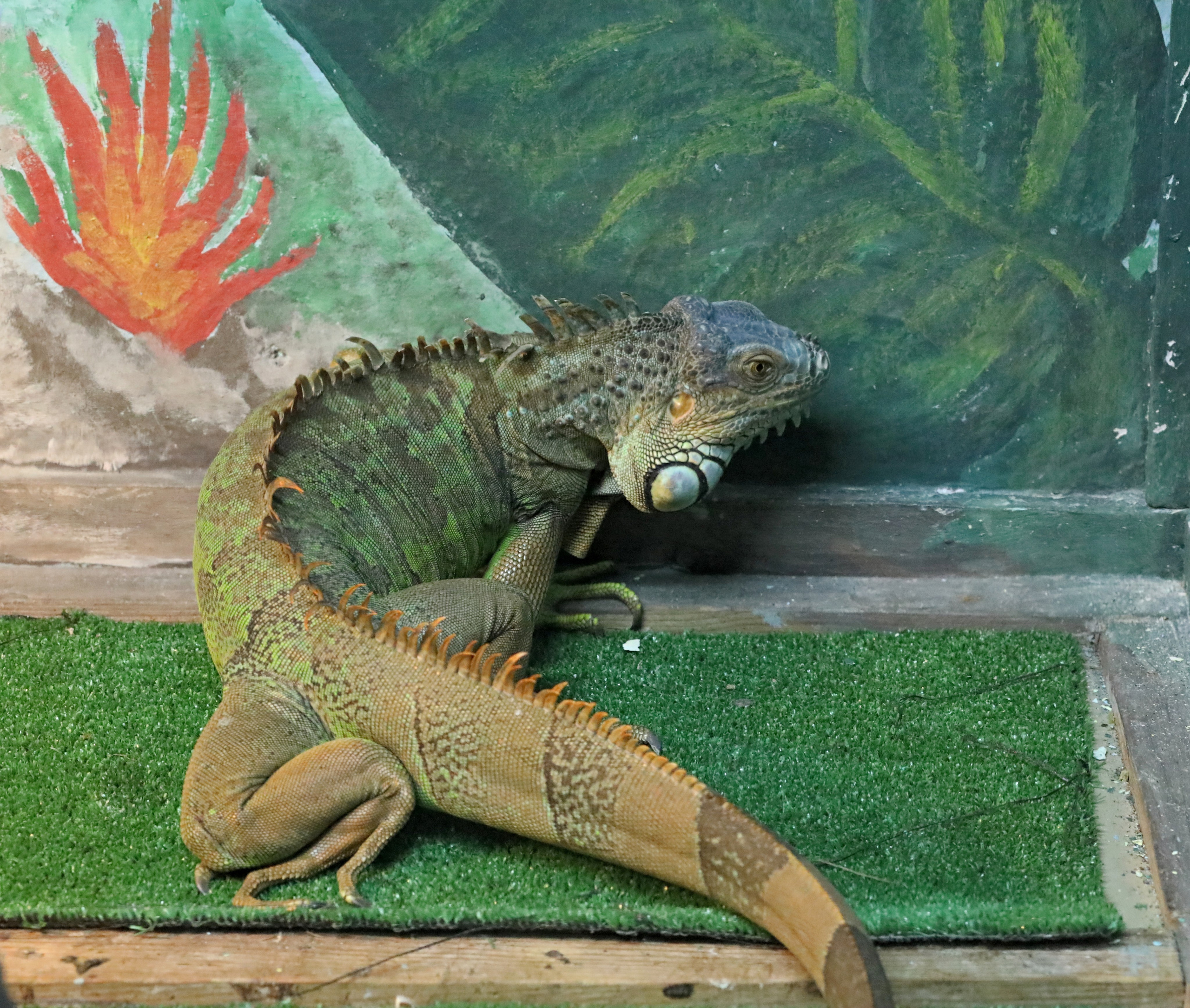 Ростовский зоопарк. Фото-художник и Репортажный фотограф Николаев Александр Алексеевич