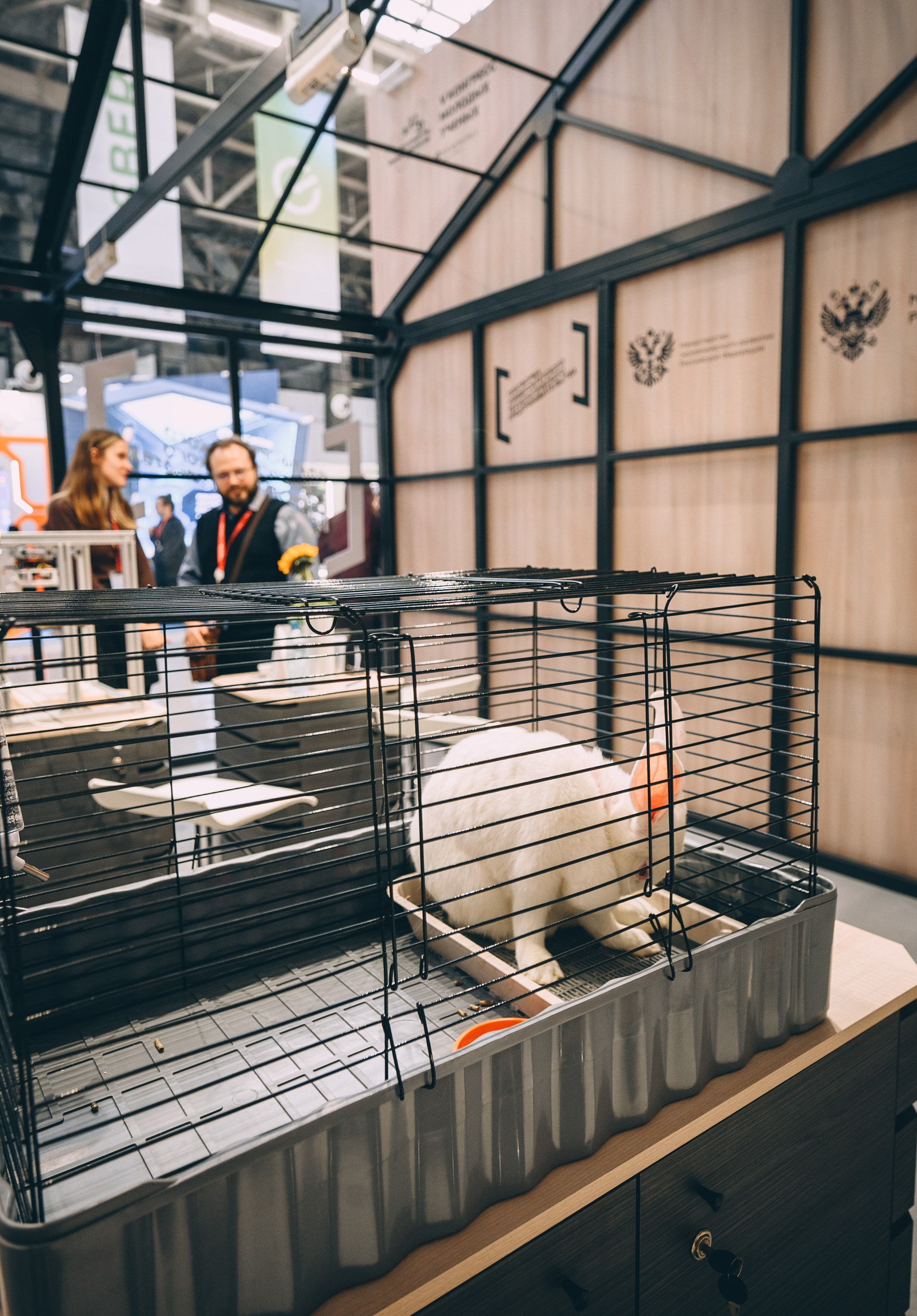 V Конгресс молодых ученых 2025. Свадебный и семейный фотограф София Невская