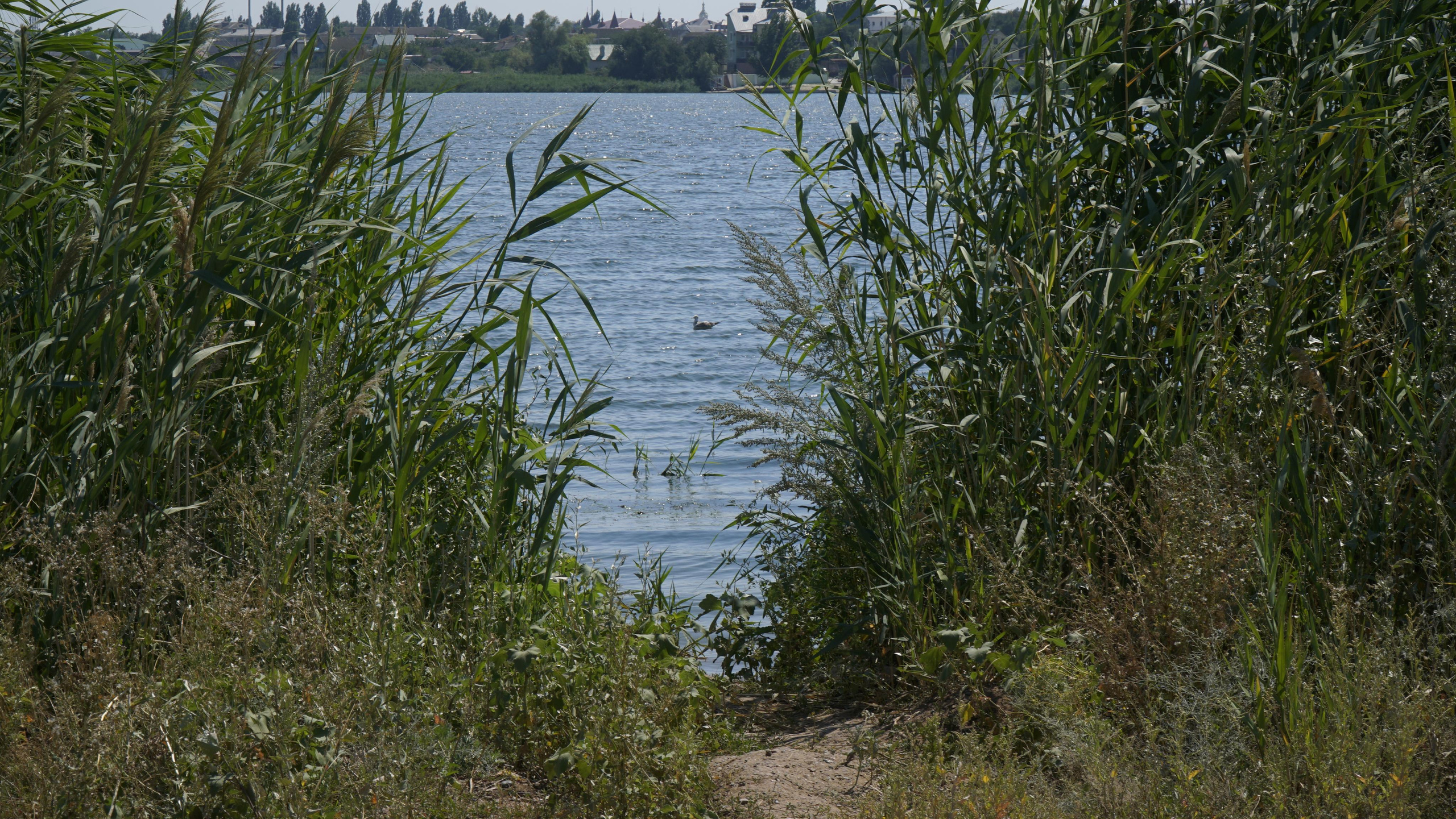 10 013 Берег. ВИЗУАЛЬНЫЕ И ЗВУКОВЫЕ РЕШЕНИЯ ДЛЯ БИЗНЕСА И СЪЁМОК ТЕЛЕТЕЛА