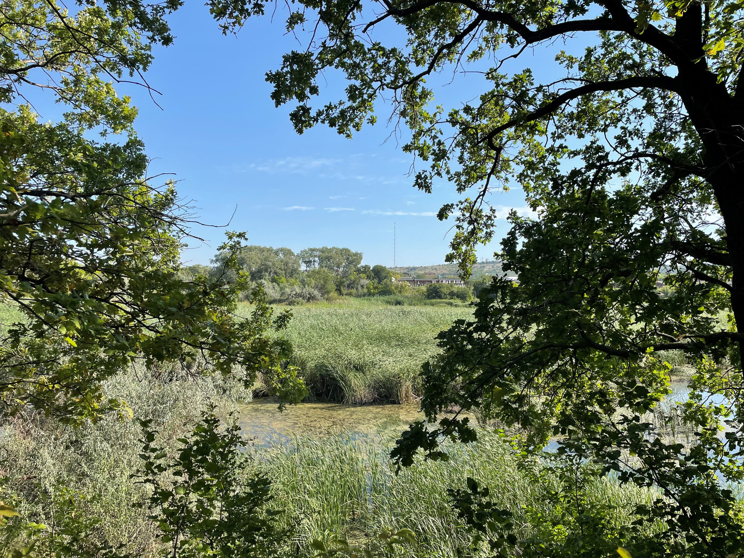10 015 Берег. ВИЗУАЛЬНЫЕ И ЗВУКОВЫЕ РЕШЕНИЯ ДЛЯ БИЗНЕСА И СЪЁМОК ТЕЛЕТЕЛА