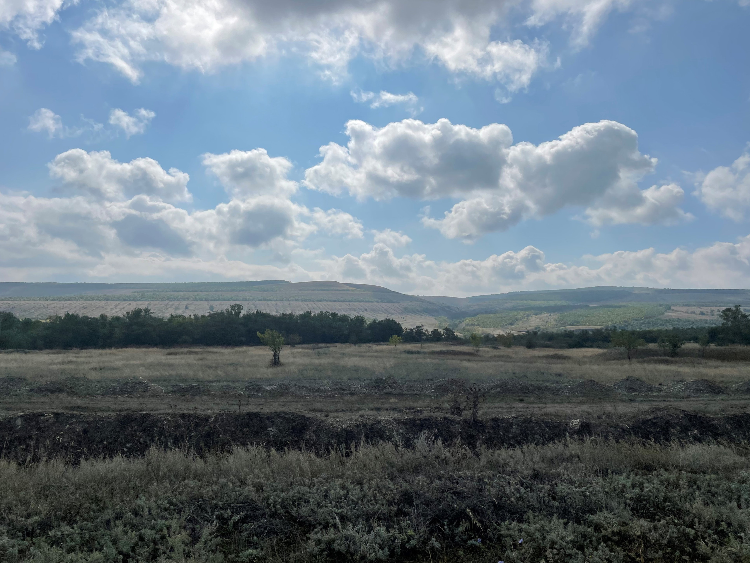 10 802 Степь. Горы. Лес. ВИЗУАЛЬНЫЕ И ЗВУКОВЫЕ РЕШЕНИЯ ДЛЯ БИЗНЕСА И СЪЁМОК ТЕЛЕТЕЛА