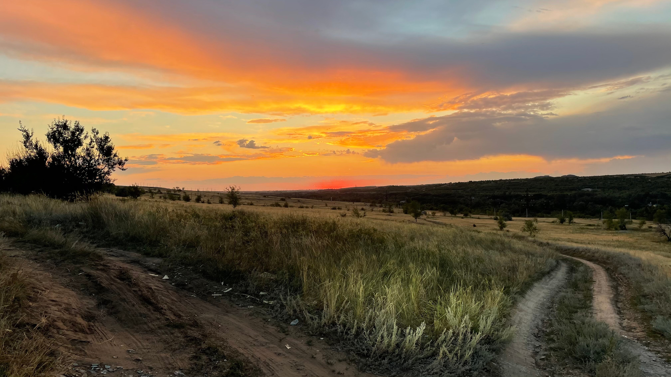 10 508 Степь. ВИЗУАЛЬНЫЕ И ЗВУКОВЫЕ РЕШЕНИЯ ДЛЯ БИЗНЕСА И СЪЁМОК ТЕЛЕТЕЛА
