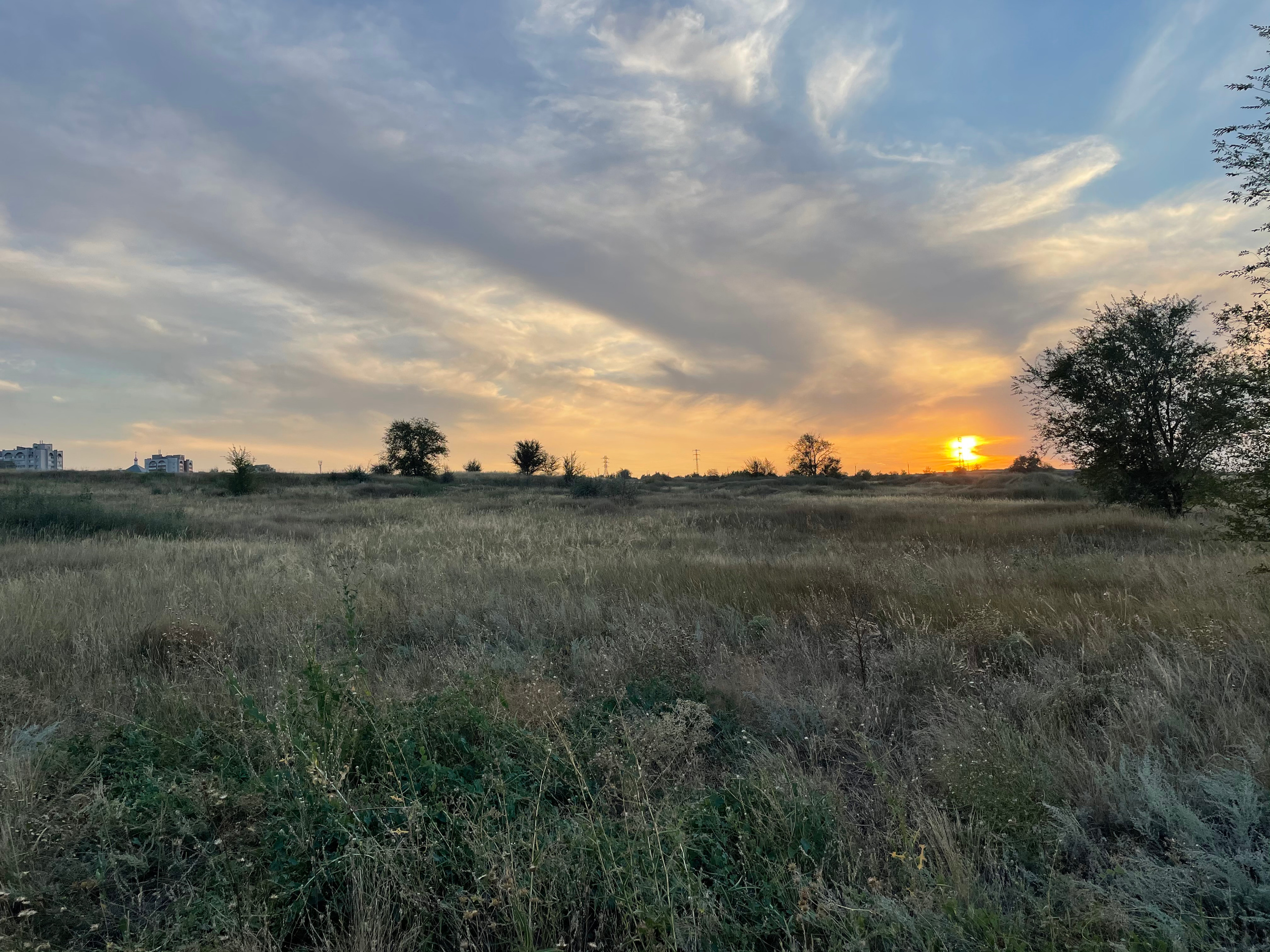 10 513 Степь. ВИЗУАЛЬНЫЕ И ЗВУКОВЫЕ РЕШЕНИЯ ДЛЯ БИЗНЕСА И СЪЁМОК ТЕЛЕТЕЛА