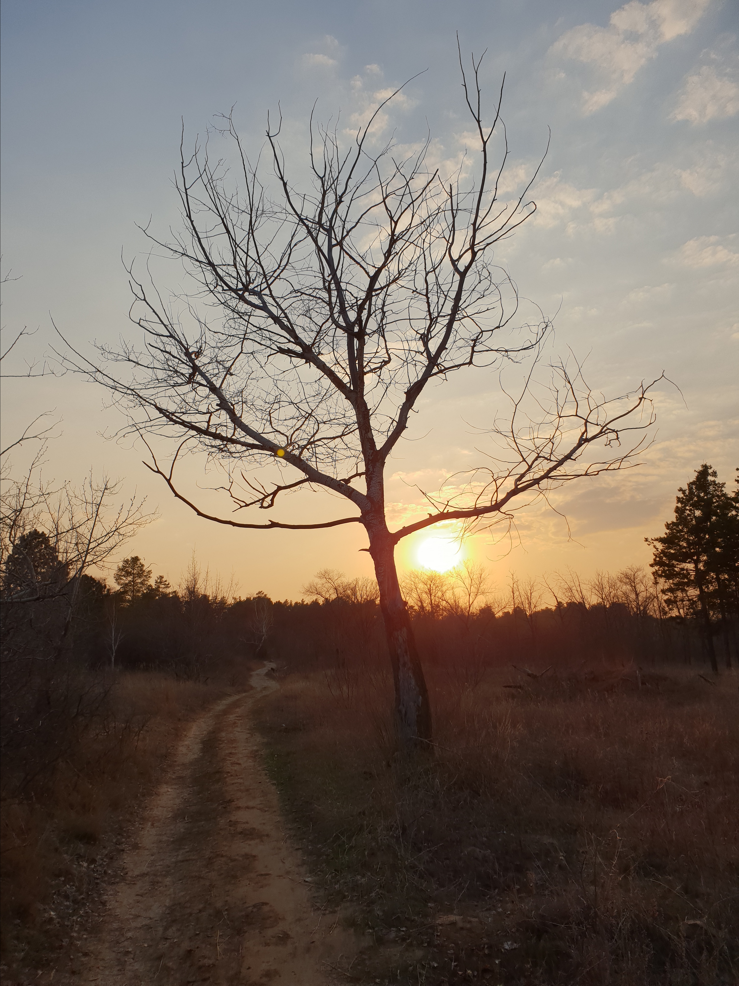 12 102 Лес. ВИЗУАЛЬНЫЕ И ЗВУКОВЫЕ РЕШЕНИЯ ДЛЯ БИЗНЕСА И СЪЁМОК ТЕЛЕТЕЛА