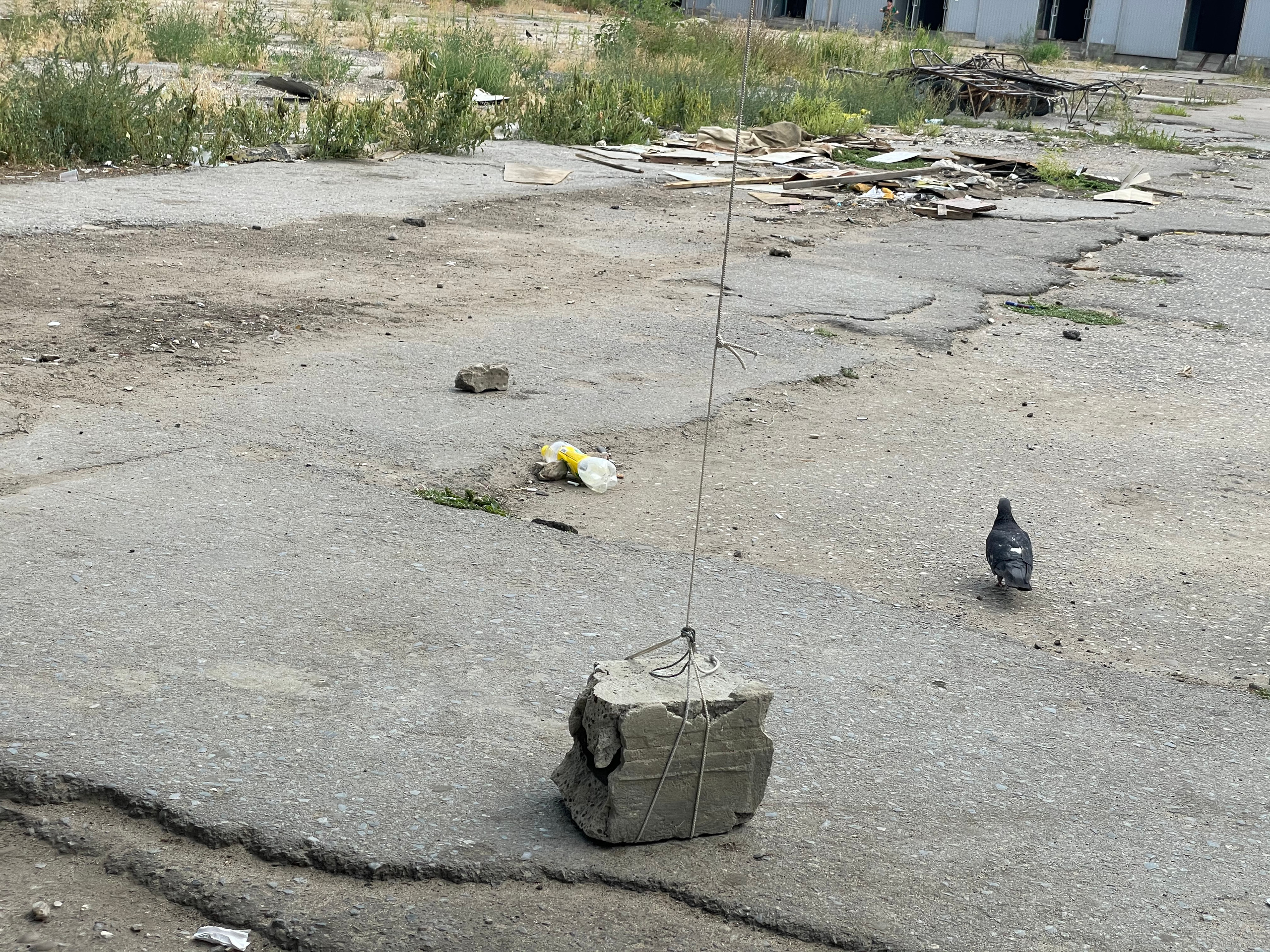 24 004 Рынок (Снесен). ВИЗУАЛЬНЫЕ И ЗВУКОВЫЕ РЕШЕНИЯ ДЛЯ БИЗНЕСА И СЪЁМОК ТЕЛЕТЕЛА