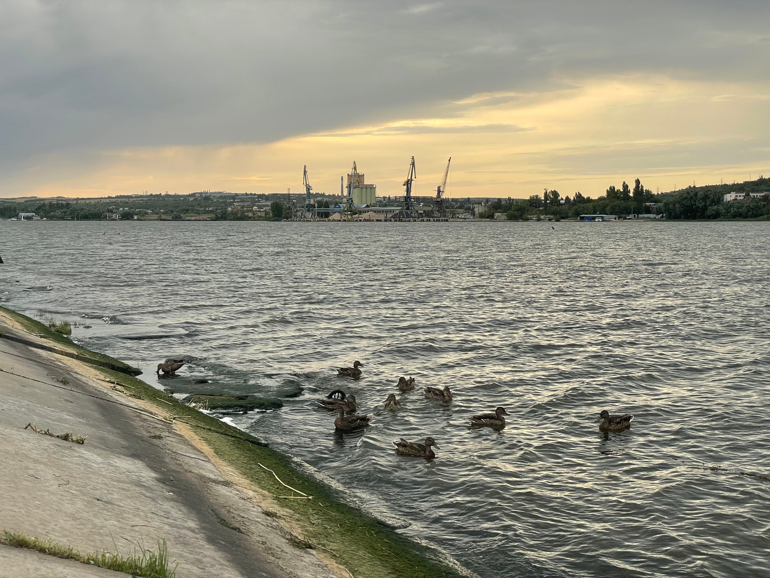 171 000 Утки. ВИЗУАЛЬНЫЕ И ЗВУКОВЫЕ РЕШЕНИЯ ДЛЯ БИЗНЕСА И СЪЁМОК ТЕЛЕТЕЛА