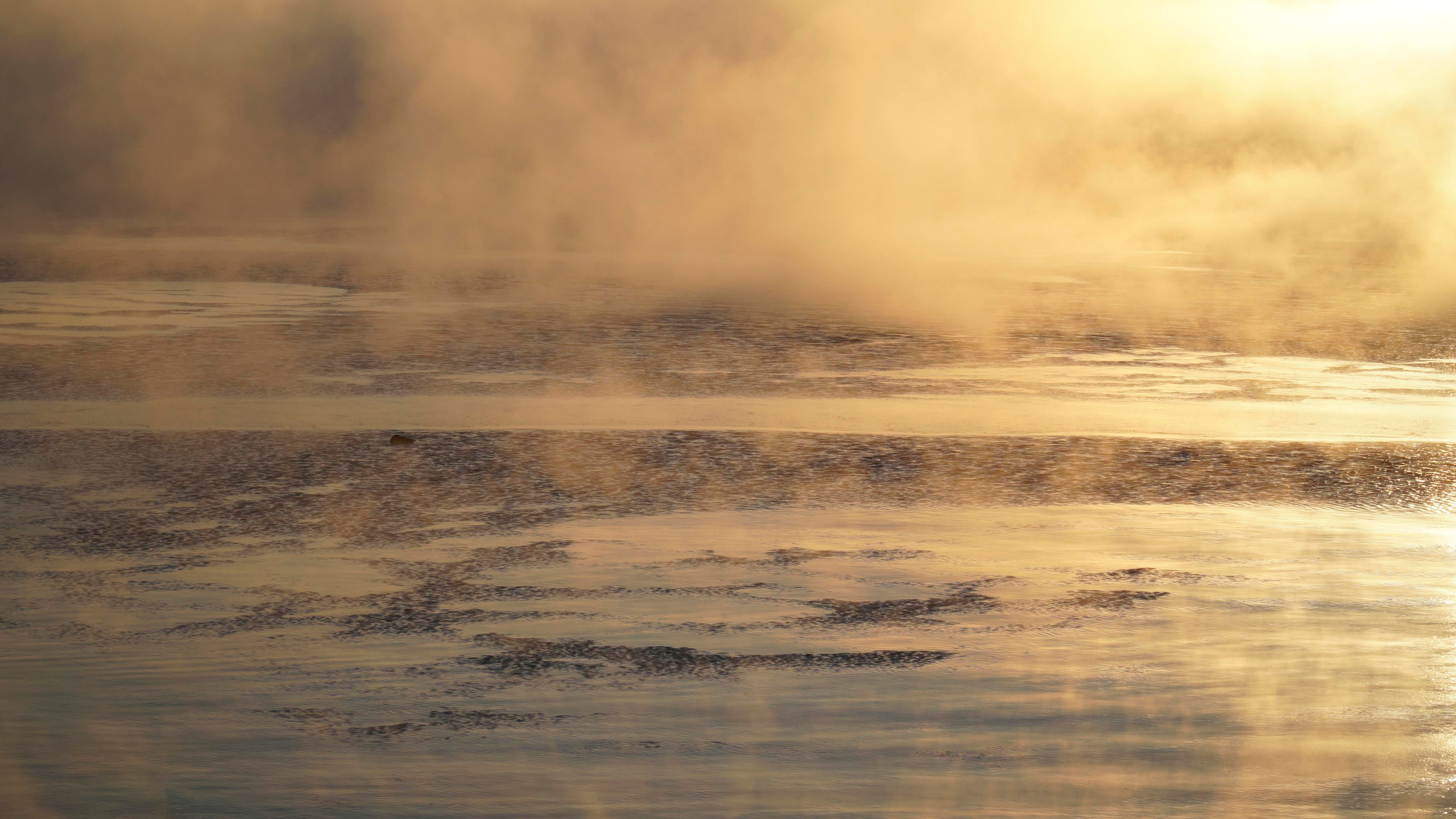 На воде 30023. ВИЗУАЛЬНЫЕ И ЗВУКОВЫЕ РЕШЕНИЯ ДЛЯ БИЗНЕСА И СЪЁМОК ТЕЛЕТЕЛА