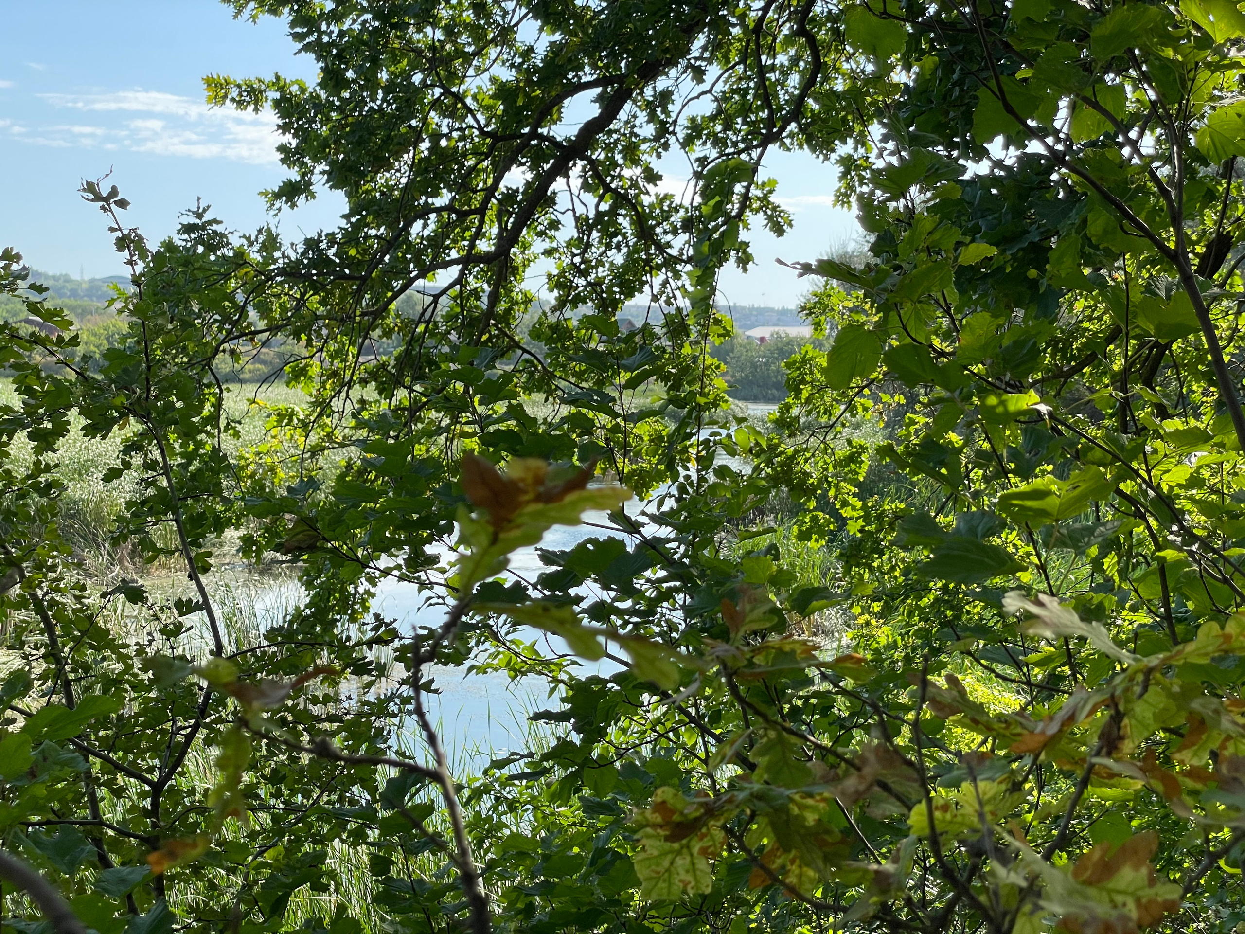 10 020 Берег. ВИЗУАЛЬНЫЕ И ЗВУКОВЫЕ РЕШЕНИЯ ДЛЯ БИЗНЕСА И СЪЁМОК ТЕЛЕТЕЛА