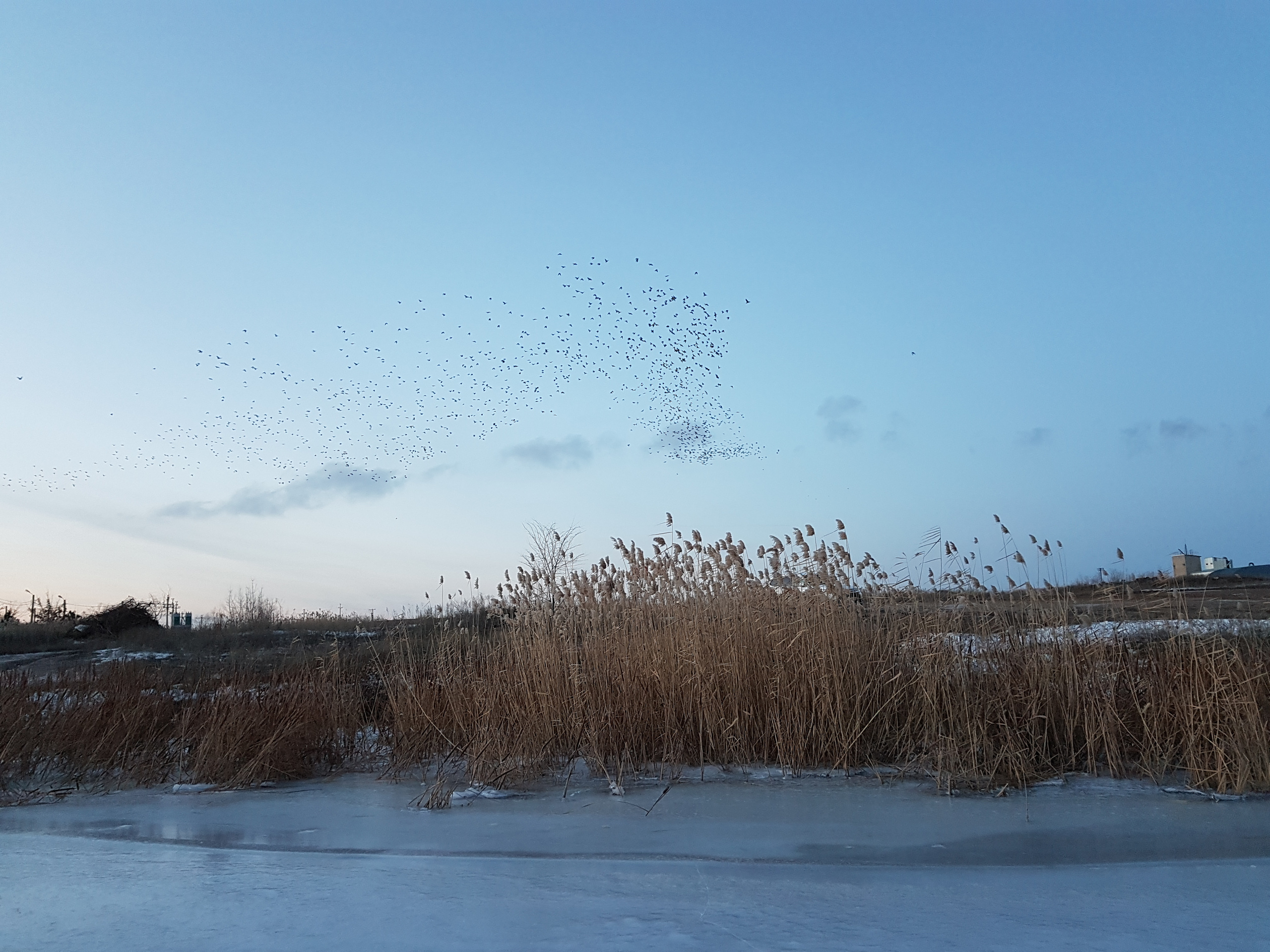 10 065 Берег. ВИЗУАЛЬНЫЕ И ЗВУКОВЫЕ РЕШЕНИЯ ДЛЯ БИЗНЕСА И СЪЁМОК ТЕЛЕТЕЛА
