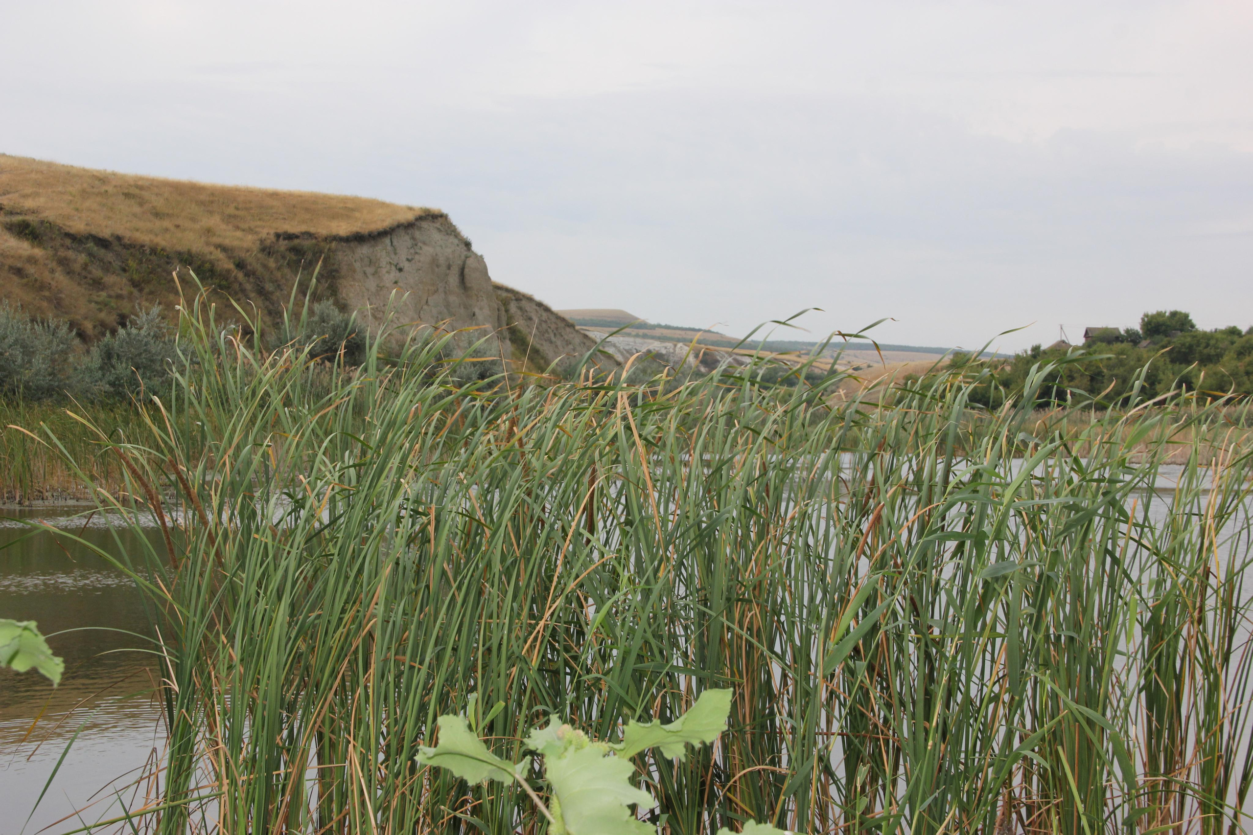 10 069 Берег. ВИЗУАЛЬНЫЕ И ЗВУКОВЫЕ РЕШЕНИЯ ДЛЯ БИЗНЕСА И СЪЁМОК ТЕЛЕТЕЛА