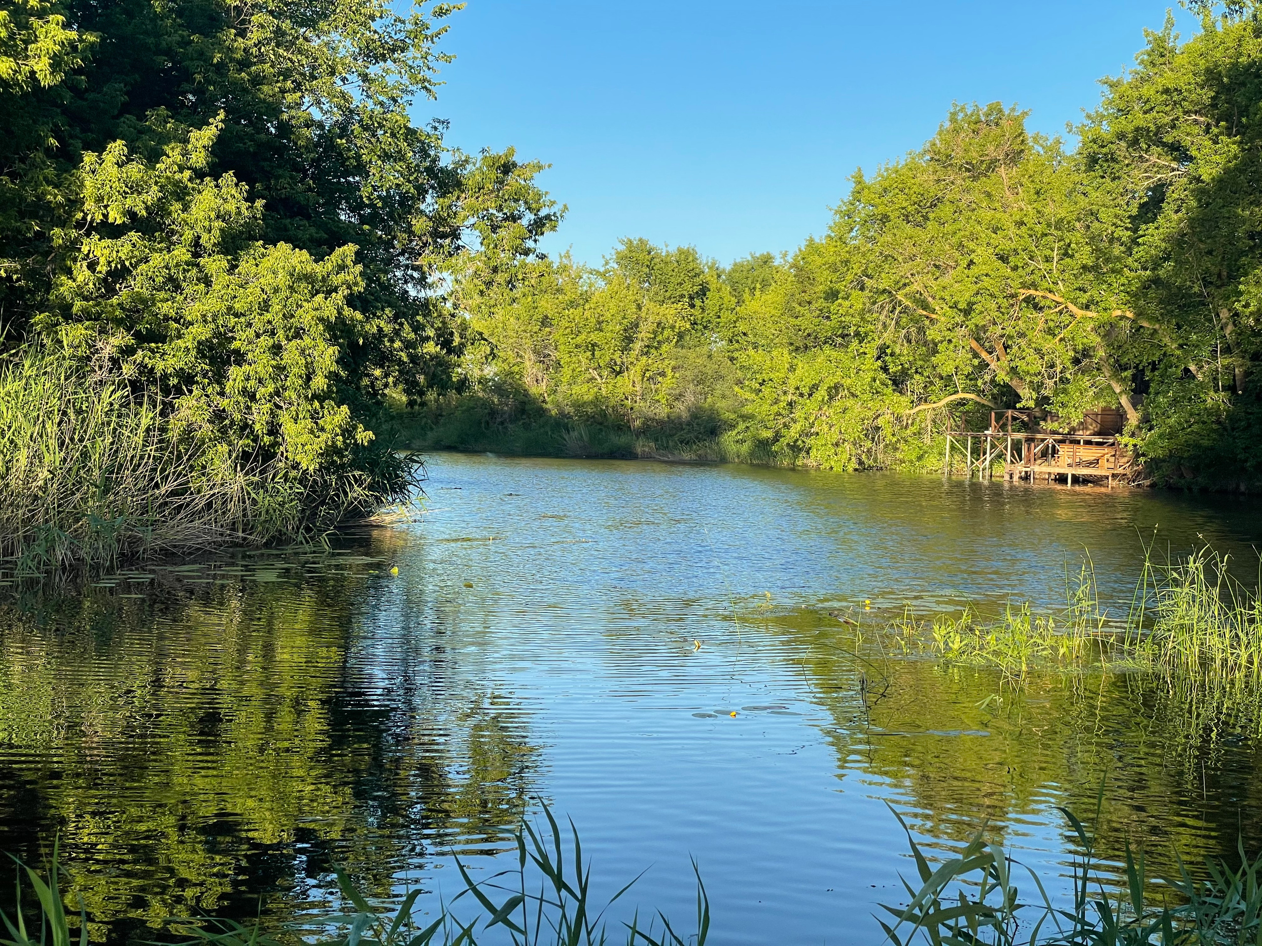 10 052 Берег. ВИЗУАЛЬНЫЕ И ЗВУКОВЫЕ РЕШЕНИЯ ДЛЯ БИЗНЕСА И СЪЁМОК ТЕЛЕТЕЛА