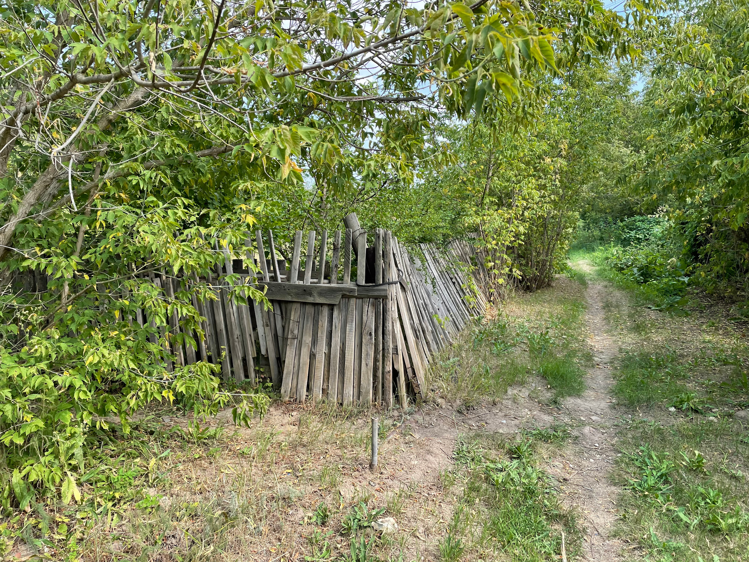 22 340 Дача. ВИЗУАЛЬНЫЕ И ЗВУКОВЫЕ РЕШЕНИЯ ДЛЯ БИЗНЕСА И СЪЁМОК ТЕЛЕТЕЛА