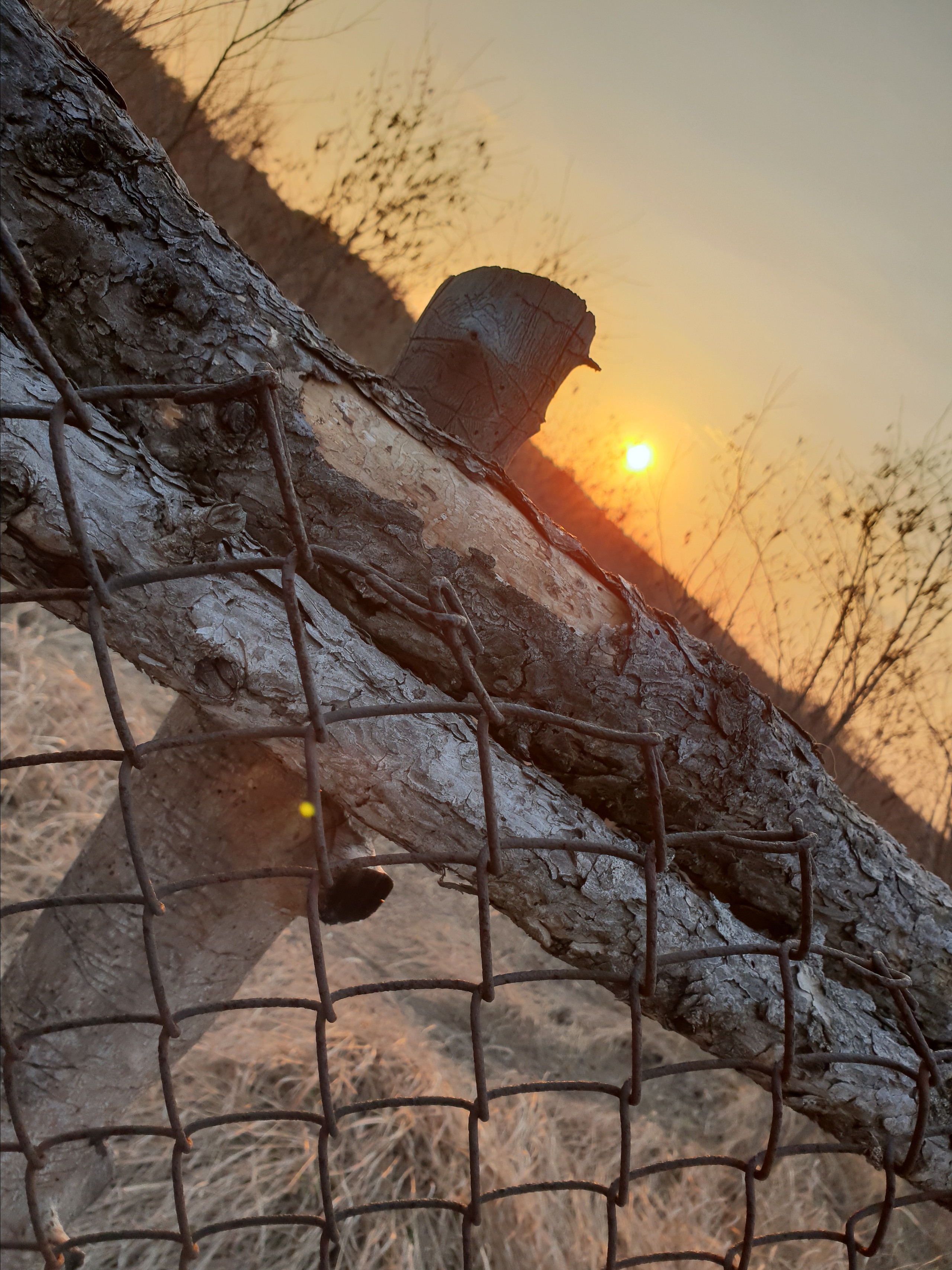 200 008 Изгородь. ВИЗУАЛЬНЫЕ И ЗВУКОВЫЕ РЕШЕНИЯ ДЛЯ БИЗНЕСА И СЪЁМОК ТЕЛЕТЕЛА