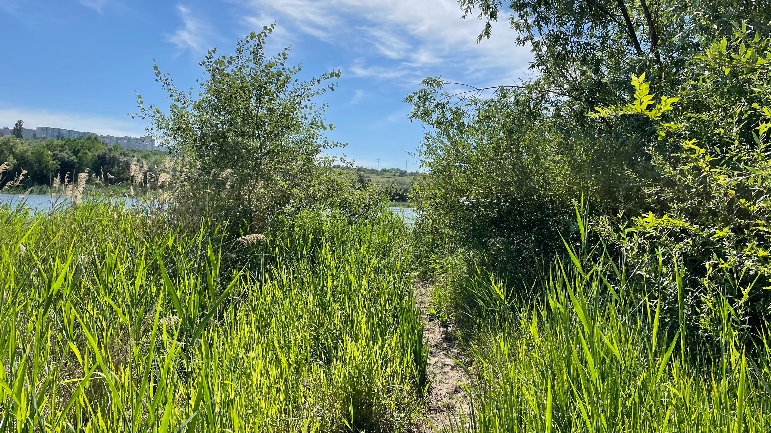 10 047 Берег. ВИЗУАЛЬНЫЕ И ЗВУКОВЫЕ РЕШЕНИЯ ДЛЯ БИЗНЕСА И СЪЁМОК ТЕЛЕТЕЛА