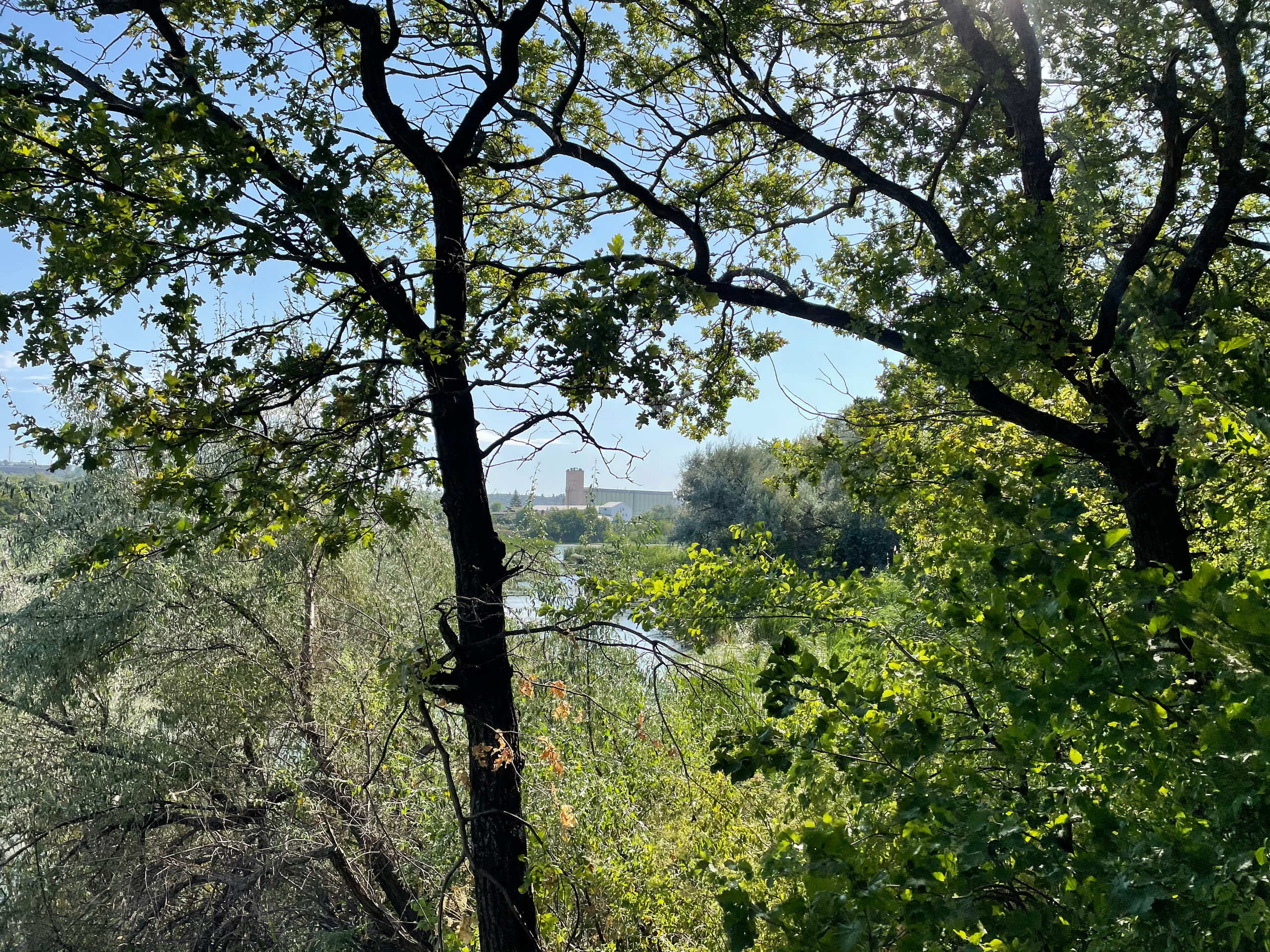 10 015 Берег. ВИЗУАЛЬНЫЕ И ЗВУКОВЫЕ РЕШЕНИЯ ДЛЯ БИЗНЕСА И СЪЁМОК ТЕЛЕТЕЛА