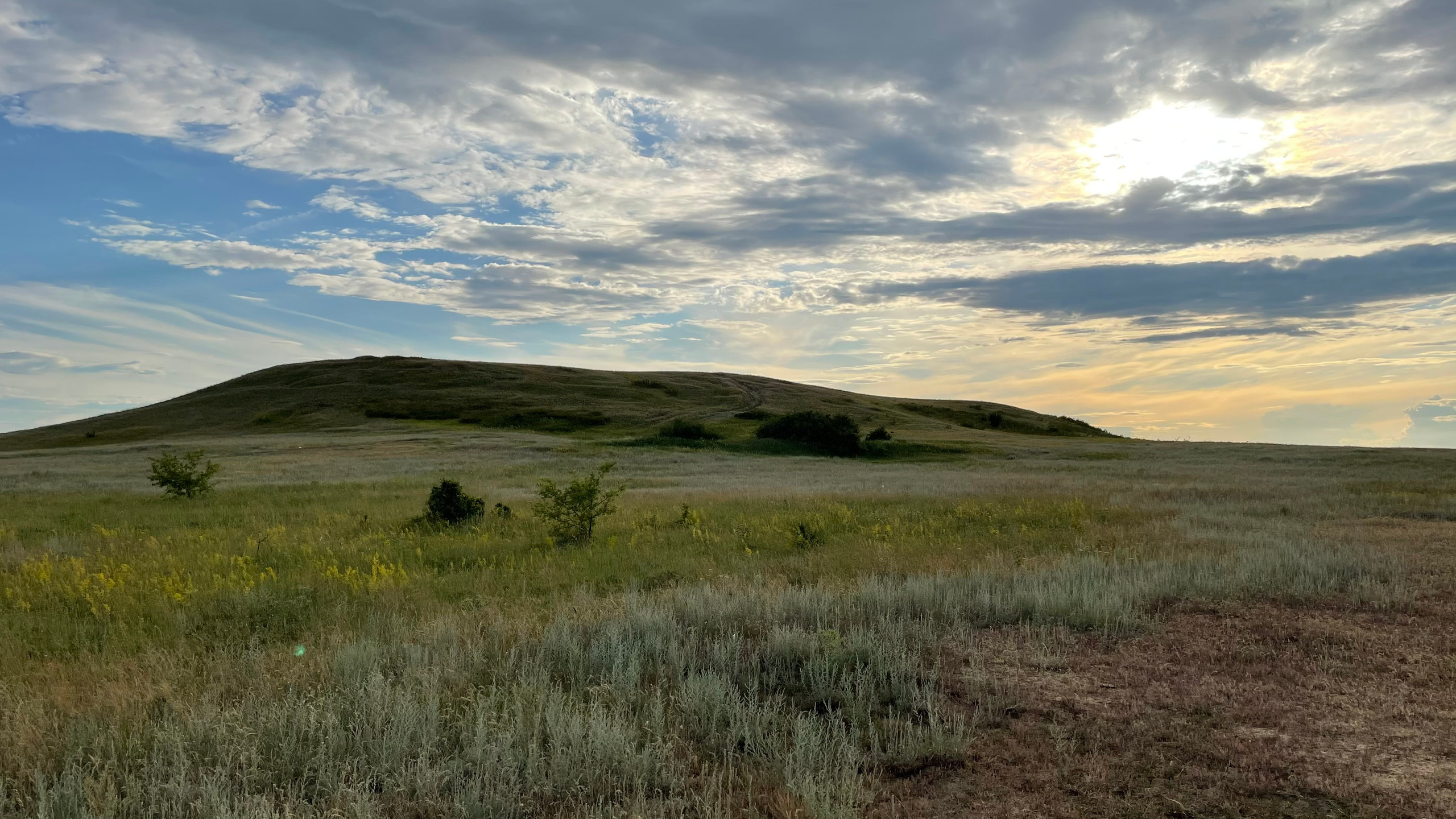 10 560 Степь. Курган. ВИЗУАЛЬНЫЕ И ЗВУКОВЫЕ РЕШЕНИЯ ДЛЯ БИЗНЕСА И СЪЁМОК ТЕЛЕТЕЛА
