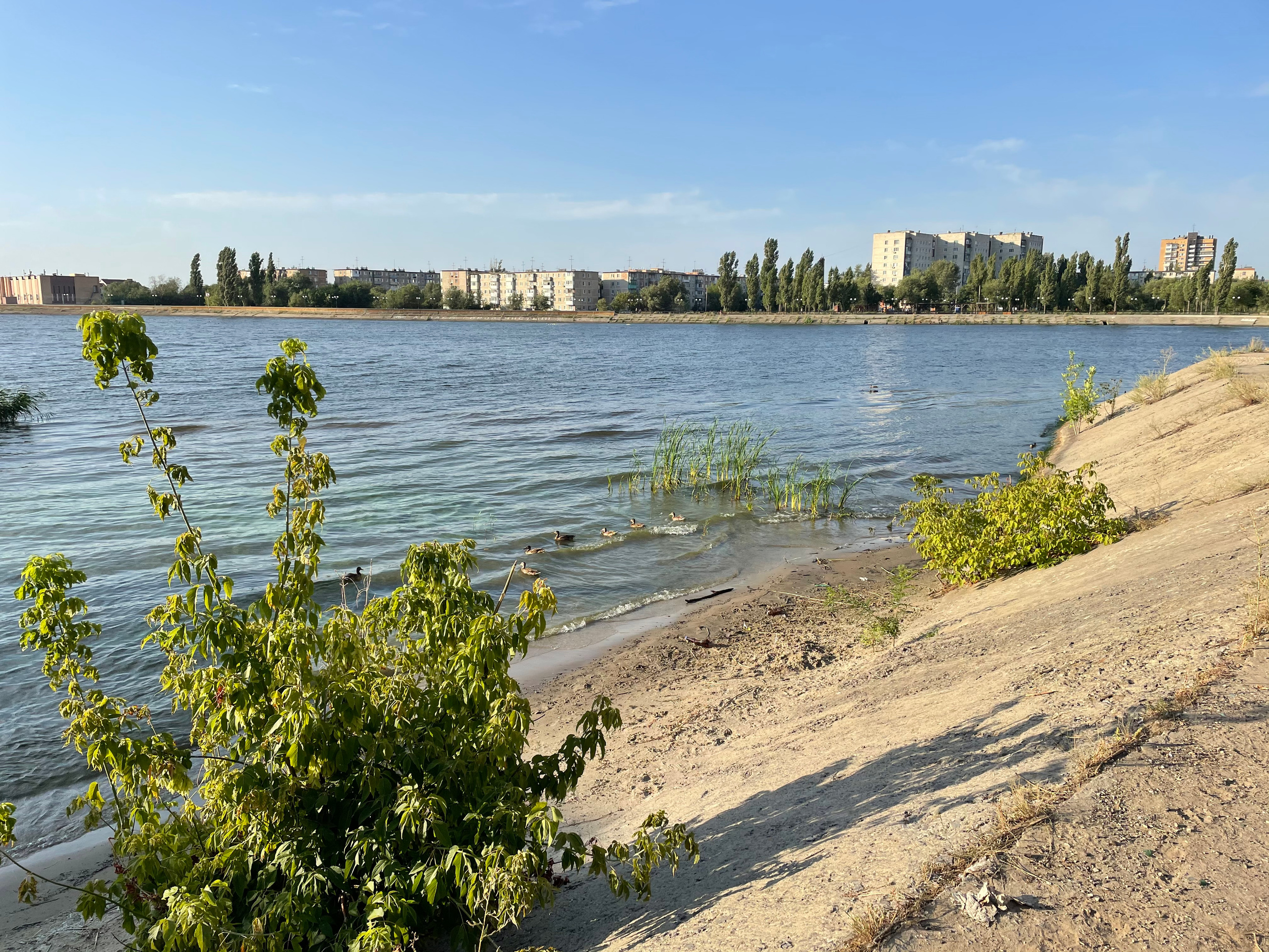 171 000 Утки. ВИЗУАЛЬНЫЕ И ЗВУКОВЫЕ РЕШЕНИЯ ДЛЯ БИЗНЕСА И СЪЁМОК ТЕЛЕТЕЛА