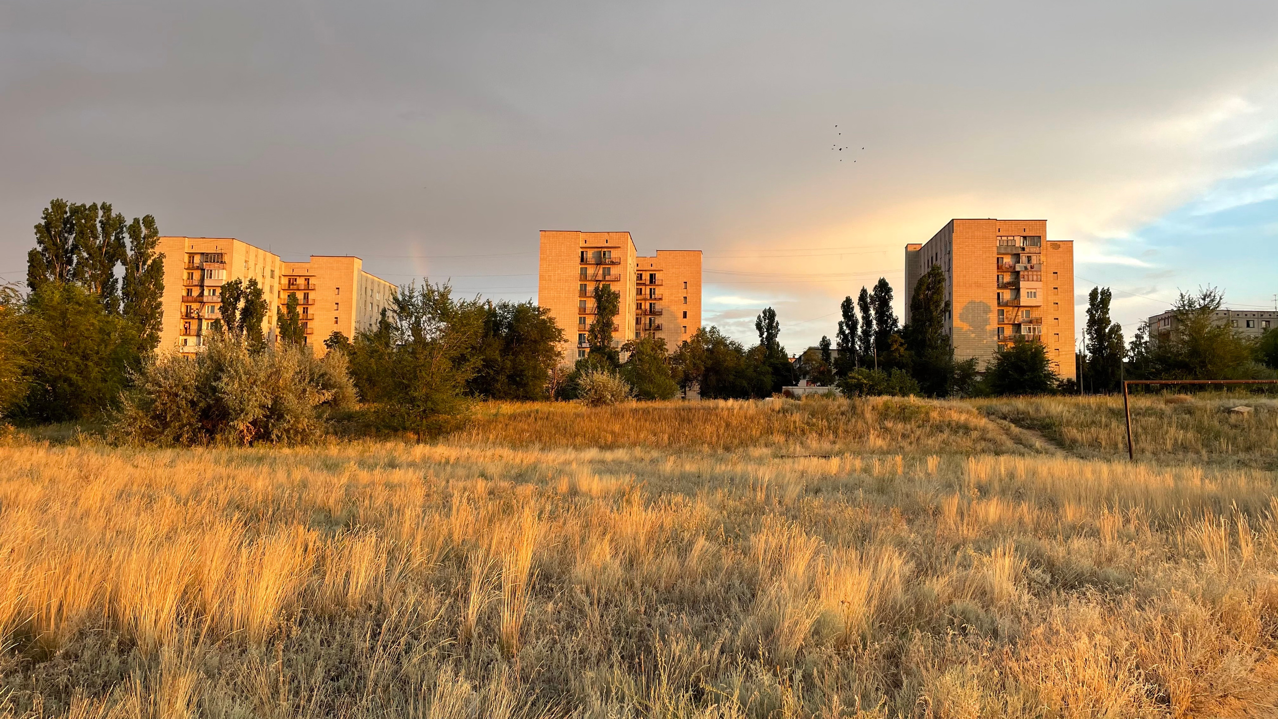 60 004 Картина. ВИЗУАЛЬНЫЕ И ЗВУКОВЫЕ РЕШЕНИЯ ДЛЯ БИЗНЕСА И СЪЁМОК ТЕЛЕТЕЛА