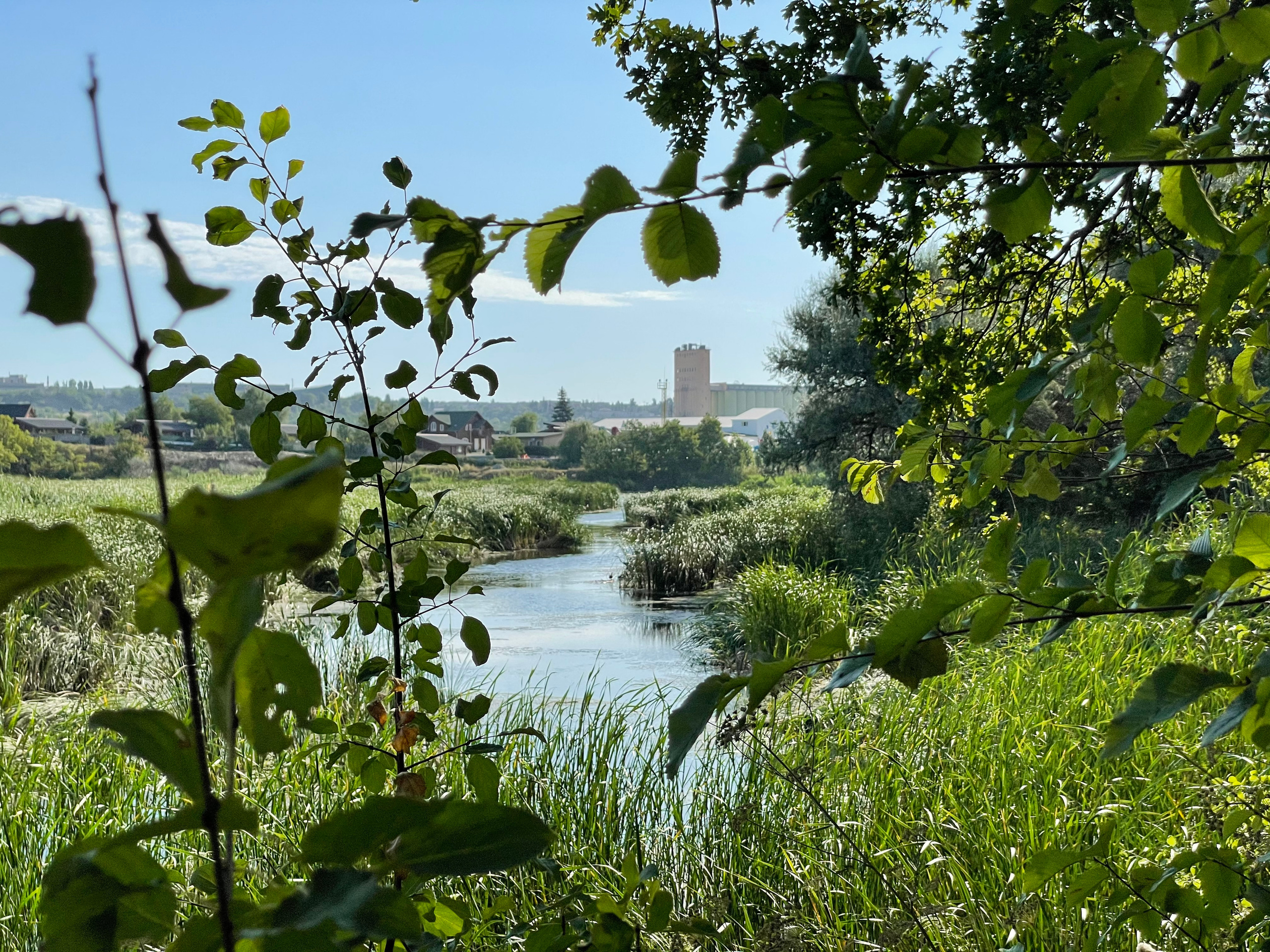 10 015 Берег. ВИЗУАЛЬНЫЕ И ЗВУКОВЫЕ РЕШЕНИЯ ДЛЯ БИЗНЕСА И СЪЁМОК ТЕЛЕТЕЛА