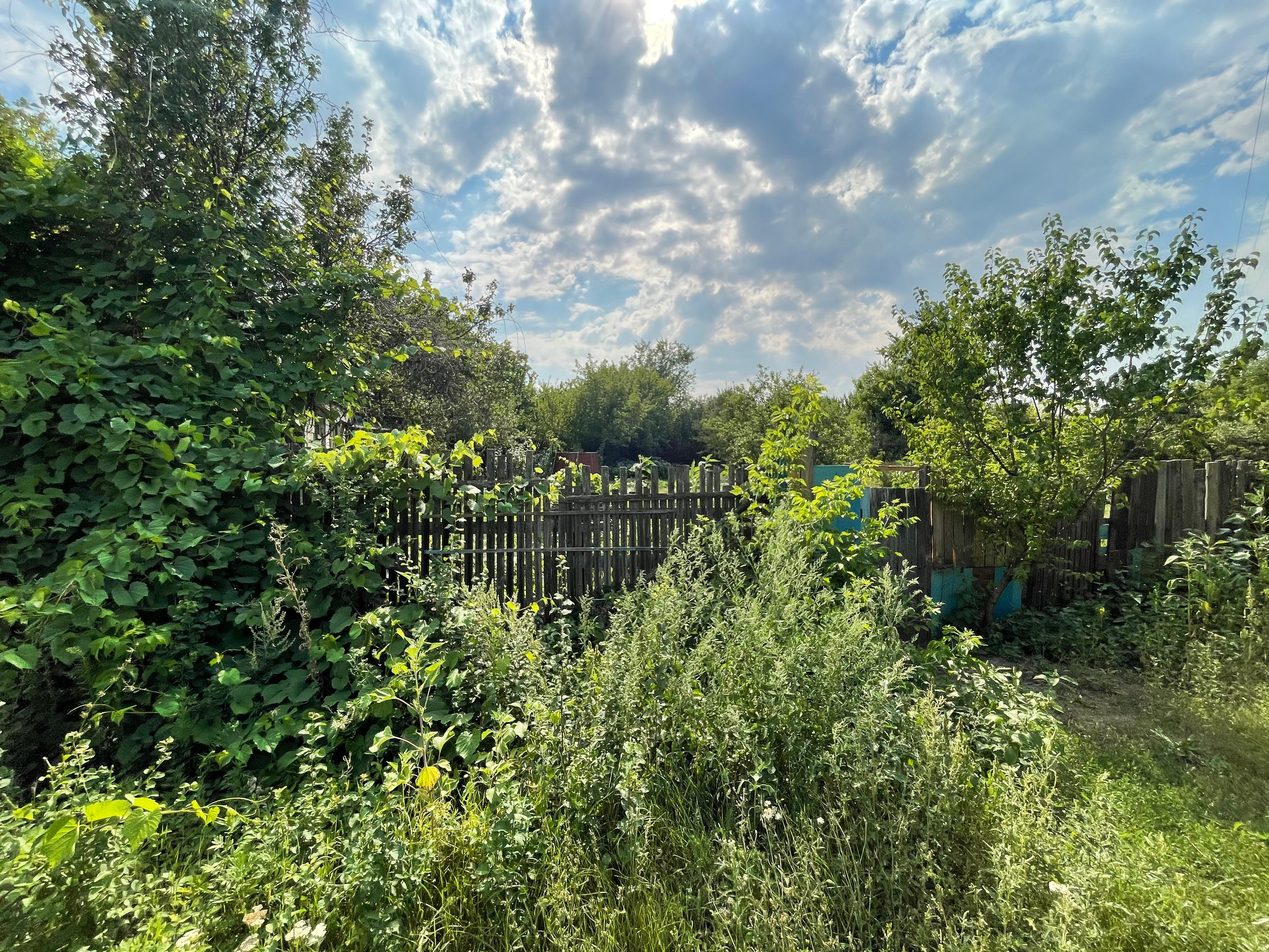 22 340 Дача. ВИЗУАЛЬНЫЕ И ЗВУКОВЫЕ РЕШЕНИЯ ДЛЯ БИЗНЕСА И СЪЁМОК ТЕЛЕТЕЛА