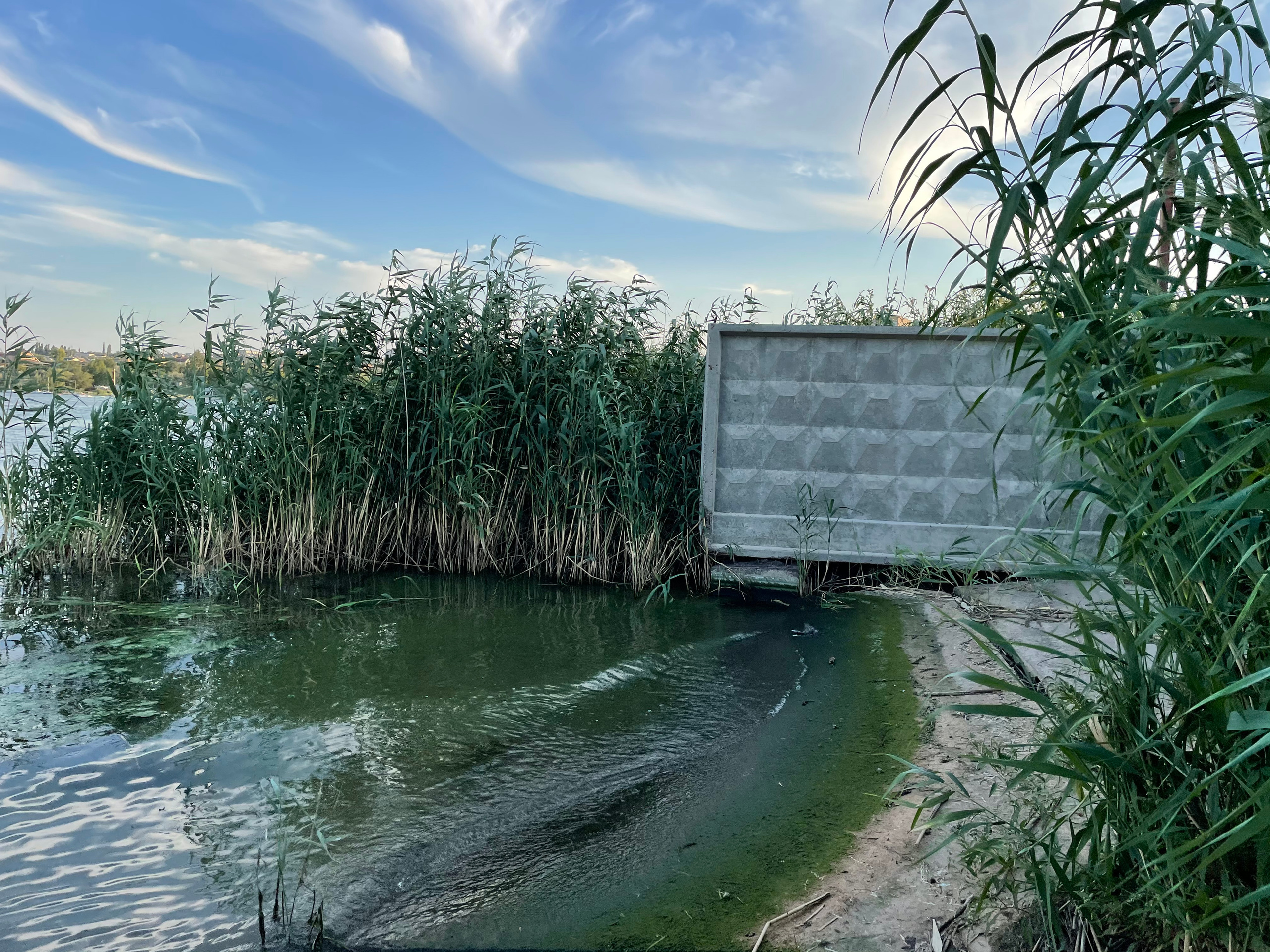 10 024 Берег. ВИЗУАЛЬНЫЕ И ЗВУКОВЫЕ РЕШЕНИЯ ДЛЯ БИЗНЕСА И СЪЁМОК ТЕЛЕТЕЛА