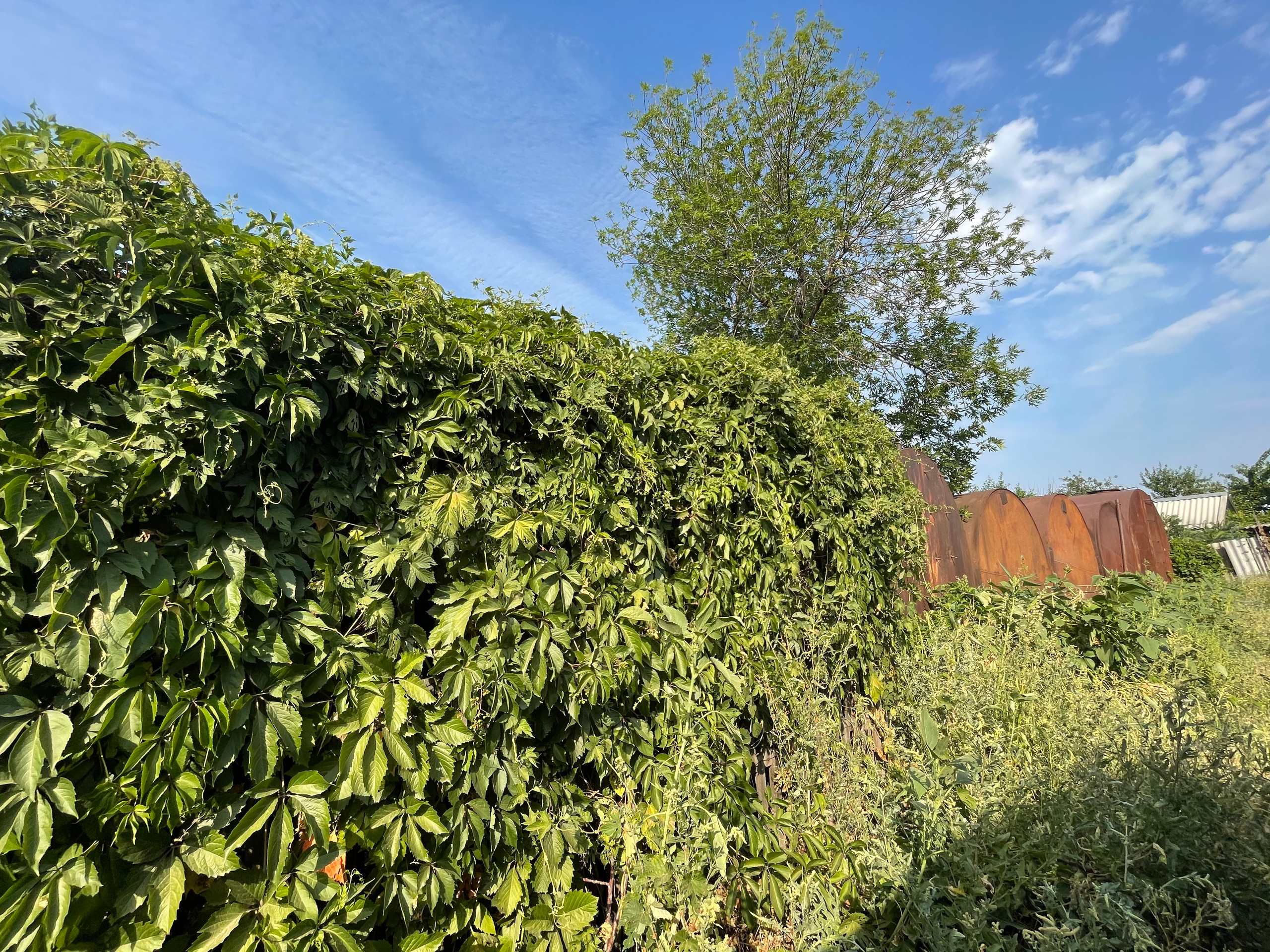 20 701 Бочки. ВИЗУАЛЬНЫЕ И ЗВУКОВЫЕ РЕШЕНИЯ ДЛЯ БИЗНЕСА И СЪЁМОК ТЕЛЕТЕЛА