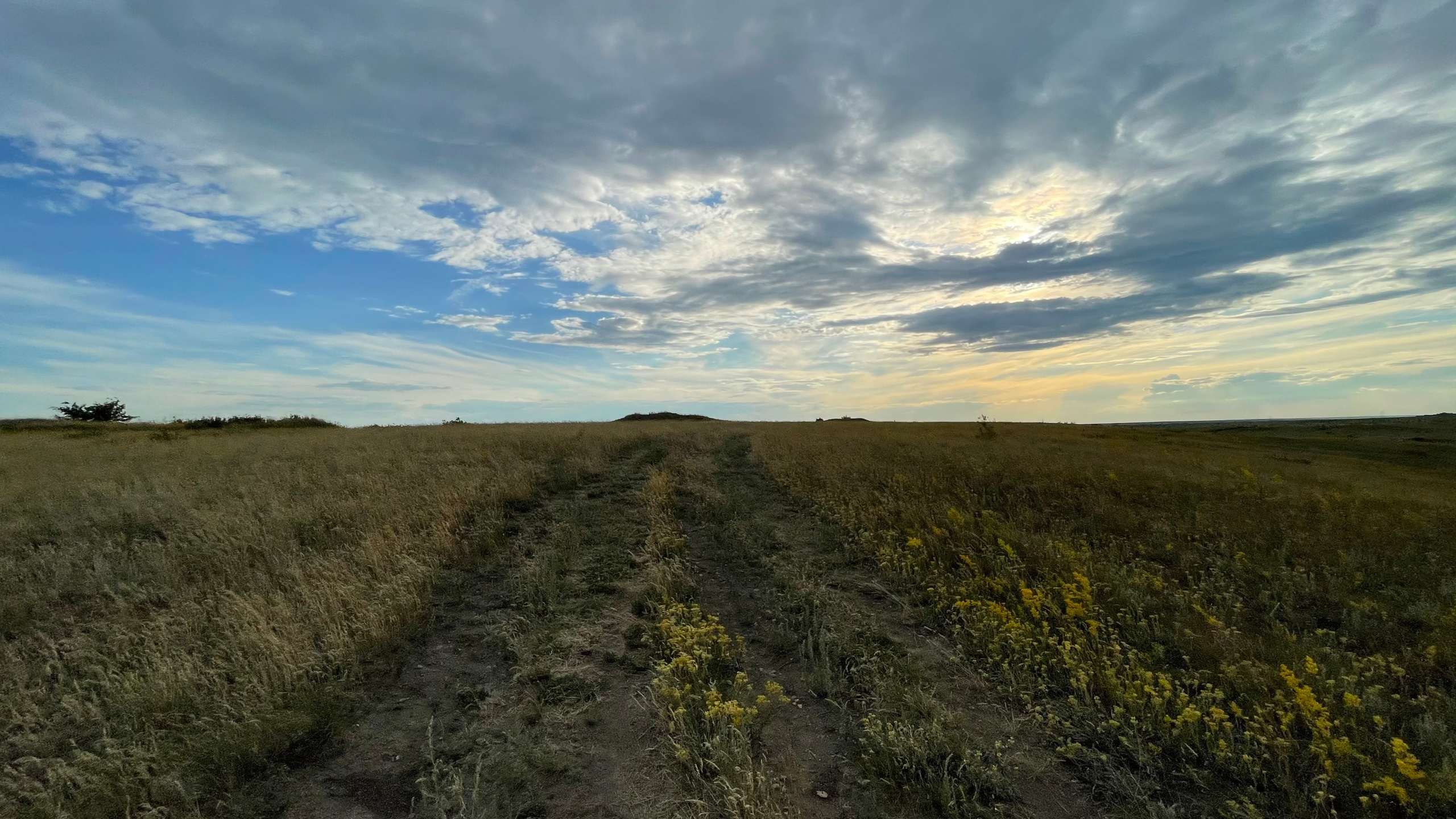 10 511 Степь. ВИЗУАЛЬНЫЕ И ЗВУКОВЫЕ РЕШЕНИЯ ДЛЯ БИЗНЕСА И СЪЁМОК ТЕЛЕТЕЛА