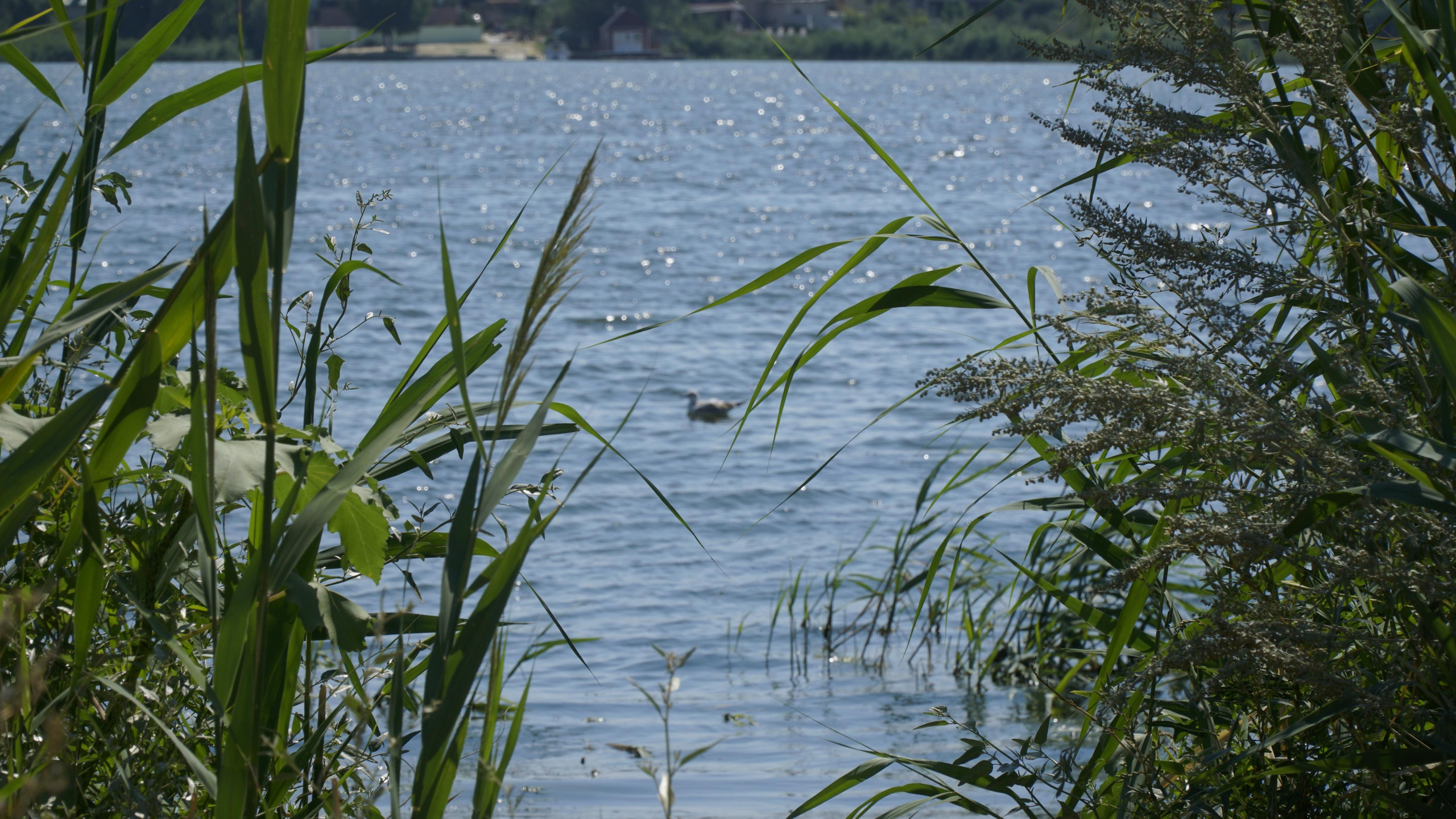 10 013 Берег. ВИЗУАЛЬНЫЕ И ЗВУКОВЫЕ РЕШЕНИЯ ДЛЯ БИЗНЕСА И СЪЁМОК ТЕЛЕТЕЛА