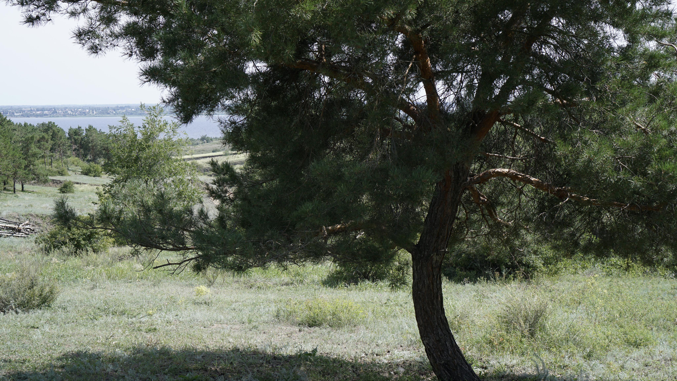 12 250 Овраг, лес, река, плетень. ВИЗУАЛЬНЫЕ И ЗВУКОВЫЕ РЕШЕНИЯ ДЛЯ БИЗНЕСА И СЪЁМОК ТЕЛЕТЕЛА