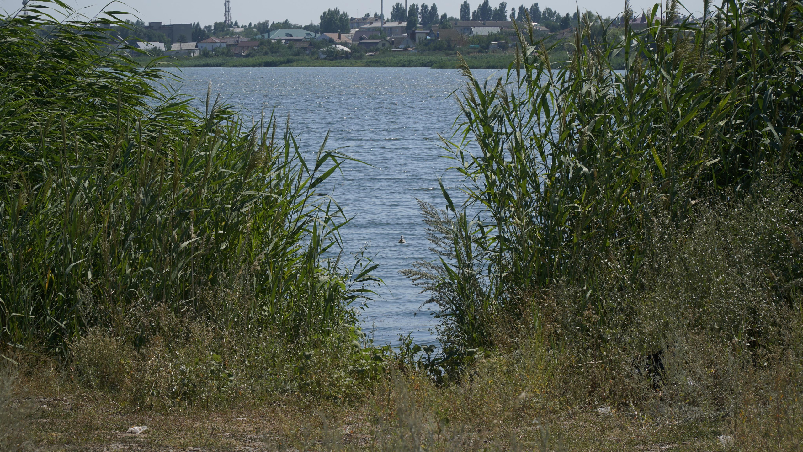 10 013 Берег. ВИЗУАЛЬНЫЕ И ЗВУКОВЫЕ РЕШЕНИЯ ДЛЯ БИЗНЕСА И СЪЁМОК ТЕЛЕТЕЛА