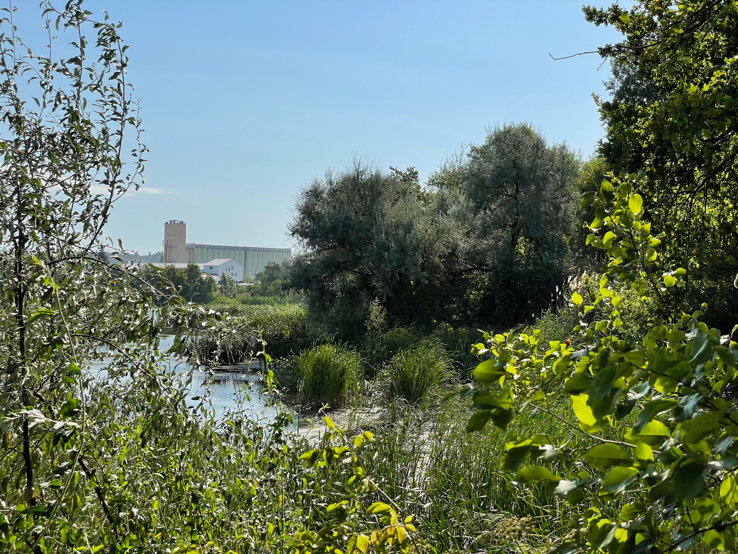 10 015 Берег. ВИЗУАЛЬНЫЕ И ЗВУКОВЫЕ РЕШЕНИЯ ДЛЯ БИЗНЕСА И СЪЁМОК ТЕЛЕТЕЛА