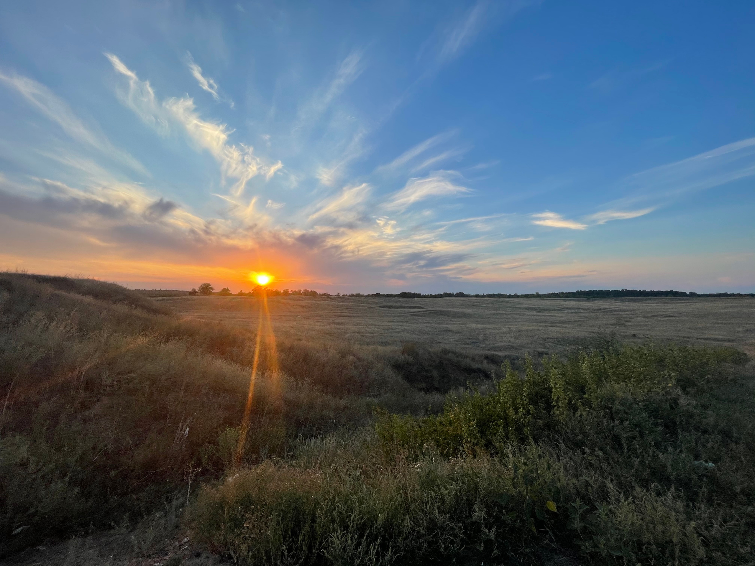 10 512 Степь. ВИЗУАЛЬНЫЕ И ЗВУКОВЫЕ РЕШЕНИЯ ДЛЯ БИЗНЕСА И СЪЁМОК ТЕЛЕТЕЛА