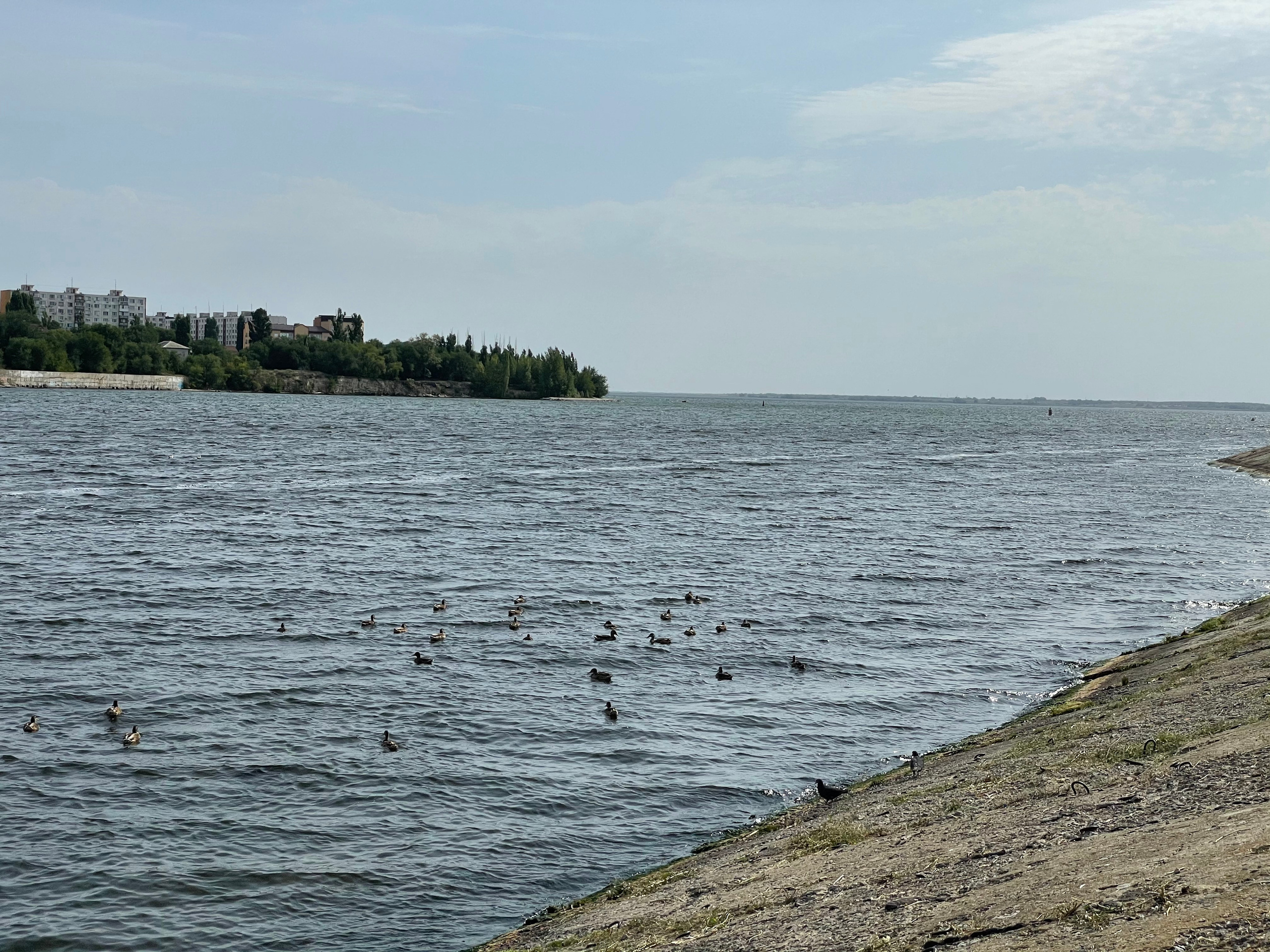 171 000 Утки. ВИЗУАЛЬНЫЕ И ЗВУКОВЫЕ РЕШЕНИЯ ДЛЯ БИЗНЕСА И СЪЁМОК ТЕЛЕТЕЛА