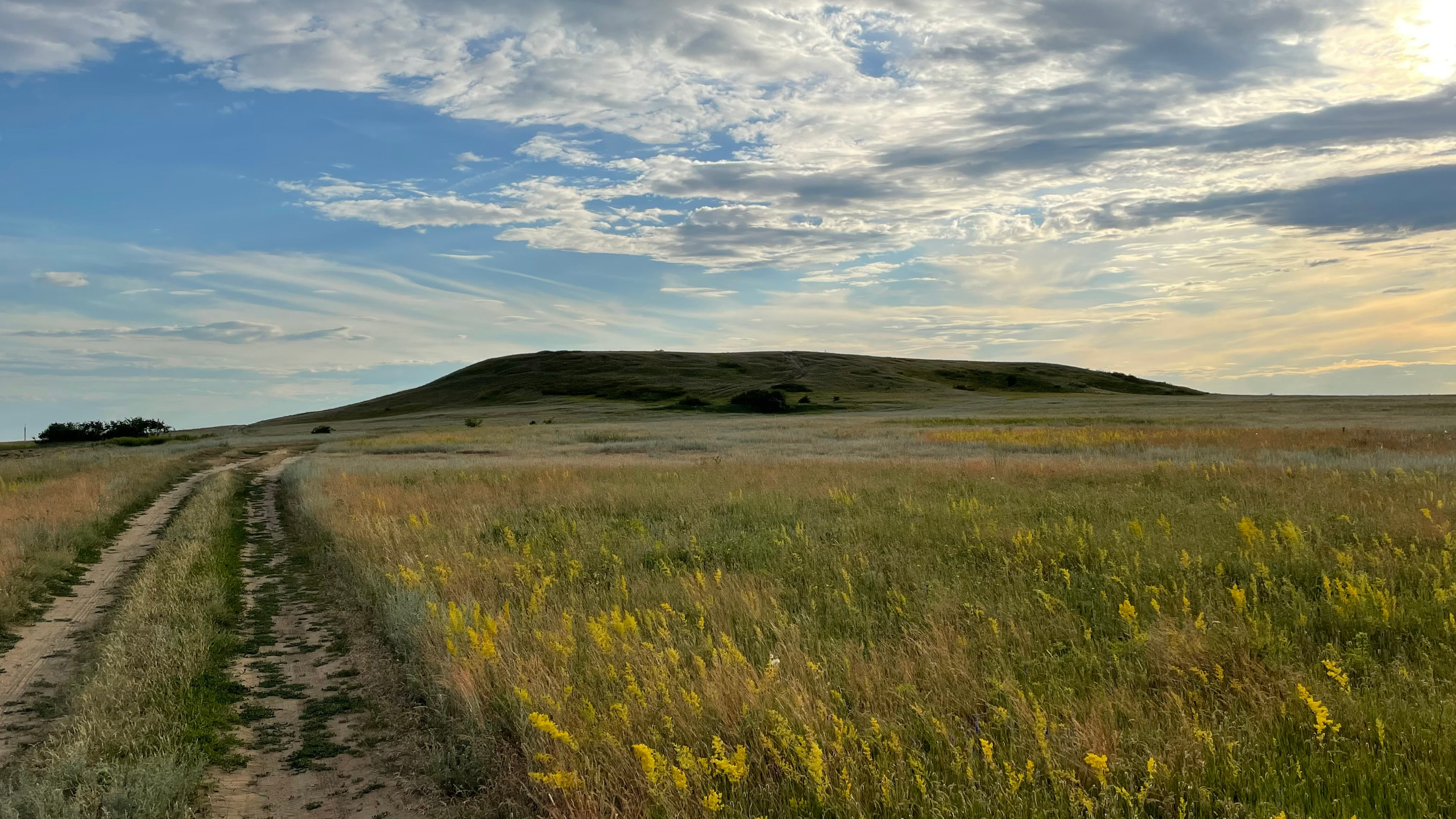 10 560 Степь. Курган. ВИЗУАЛЬНЫЕ И ЗВУКОВЫЕ РЕШЕНИЯ ДЛЯ БИЗНЕСА И СЪЁМОК ТЕЛЕТЕЛА