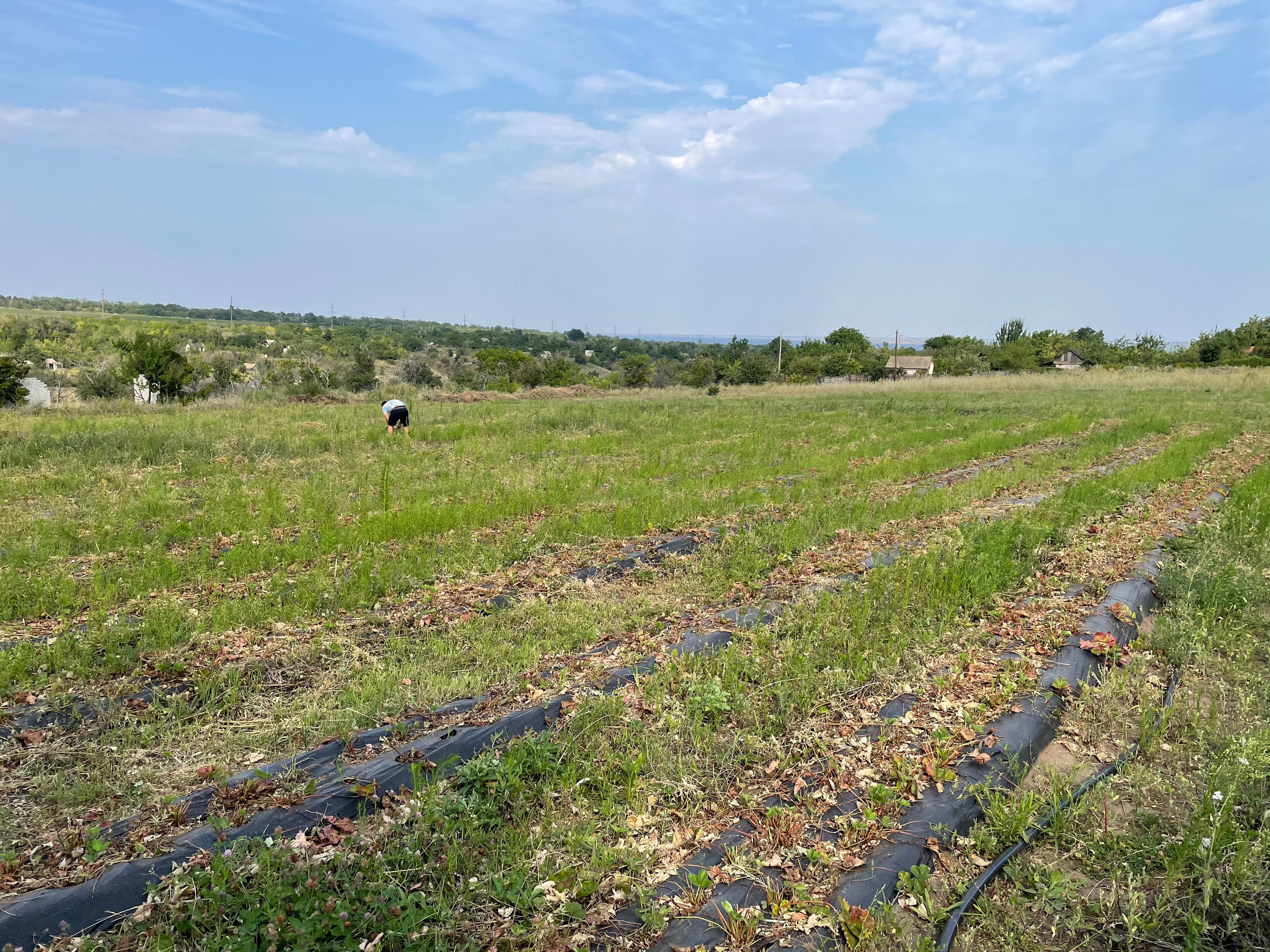 12 201 Поле. ВИЗУАЛЬНЫЕ И ЗВУКОВЫЕ РЕШЕНИЯ ДЛЯ БИЗНЕСА И СЪЁМОК ТЕЛЕТЕЛА