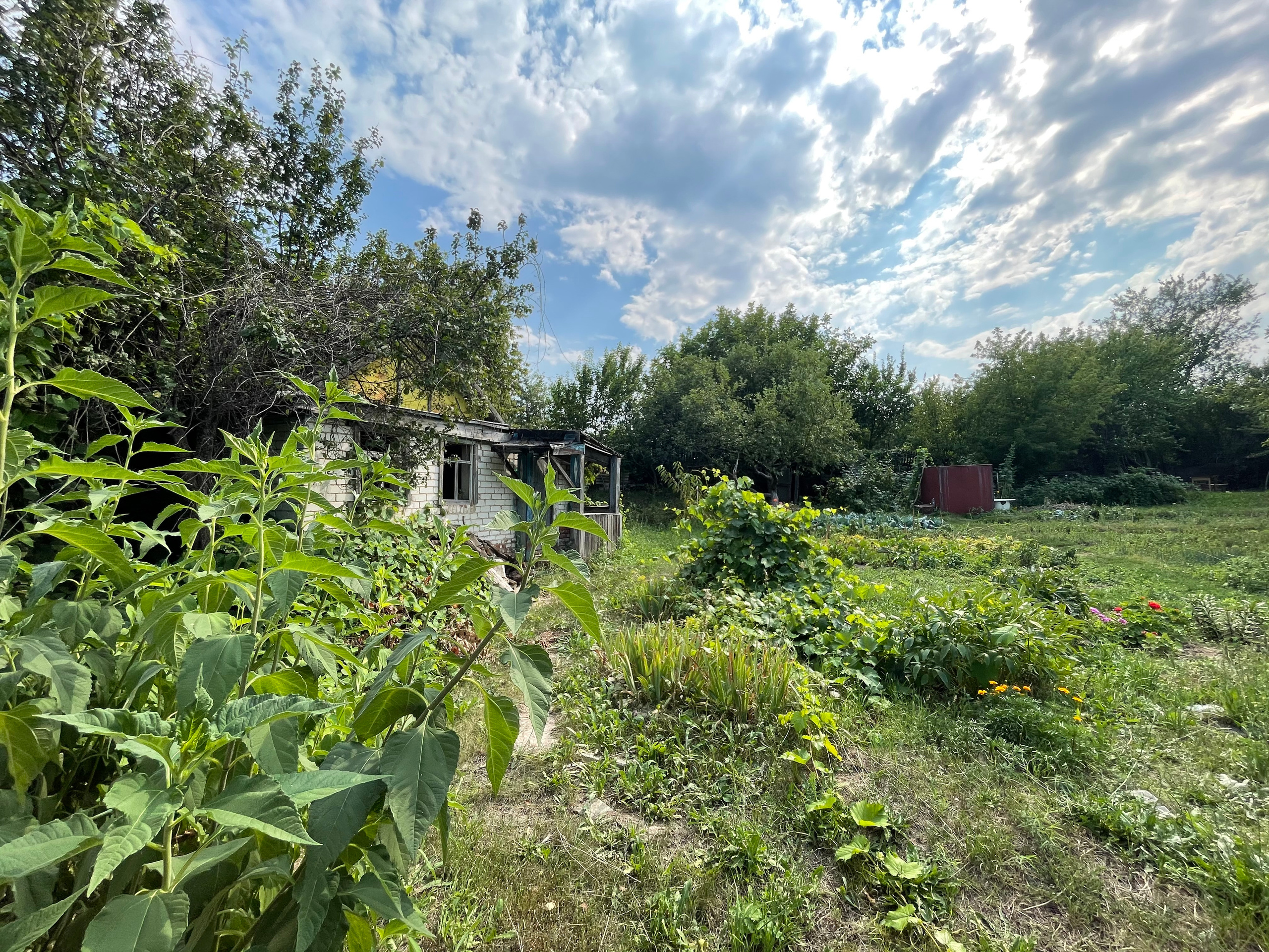 22 348 Дача. ВИЗУАЛЬНЫЕ И ЗВУКОВЫЕ РЕШЕНИЯ ДЛЯ БИЗНЕСА И СЪЁМОК ТЕЛЕТЕЛА