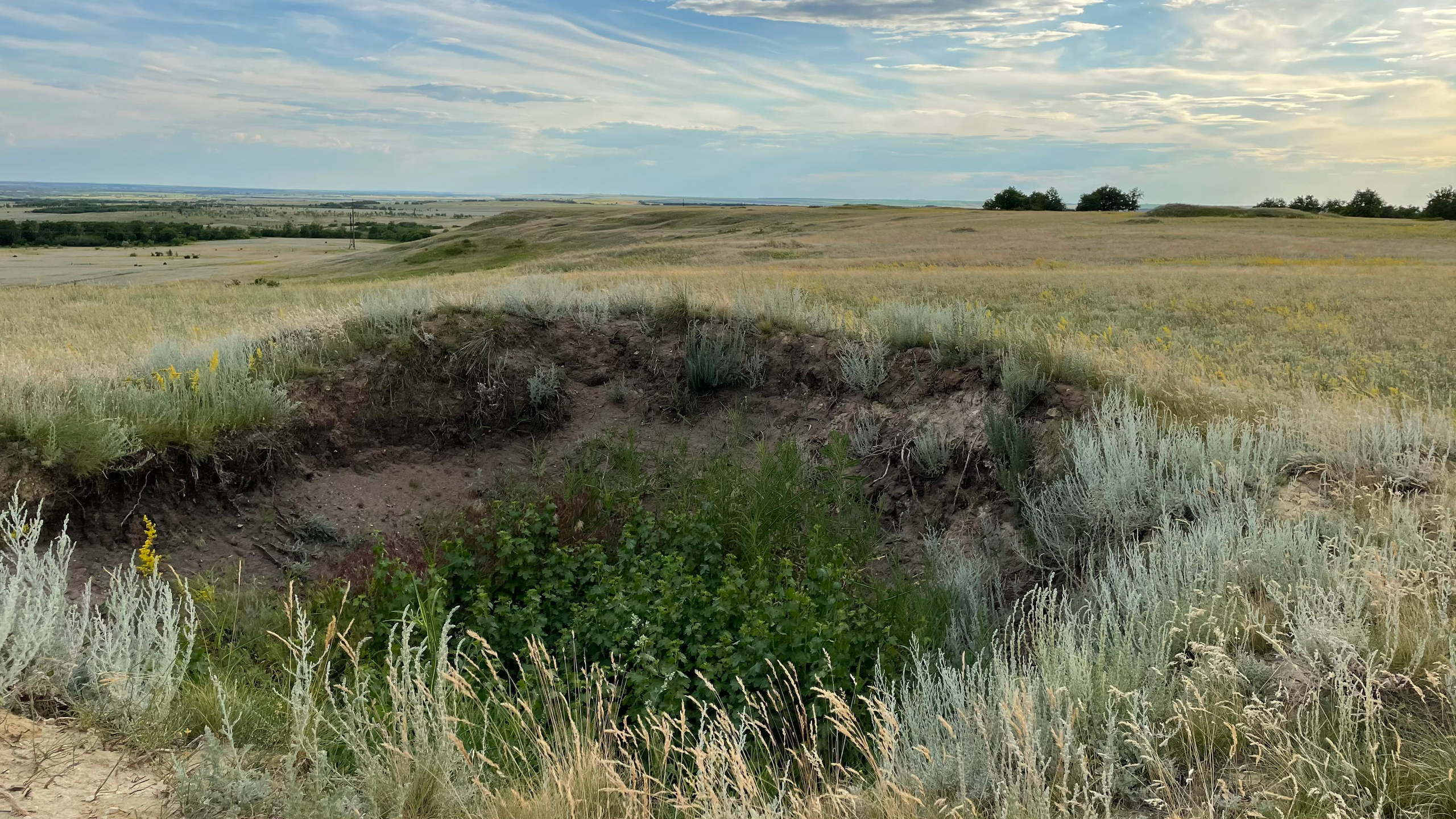 10 560 Степь. Курган. ВИЗУАЛЬНЫЕ И ЗВУКОВЫЕ РЕШЕНИЯ ДЛЯ БИЗНЕСА И СЪЁМОК ТЕЛЕТЕЛА