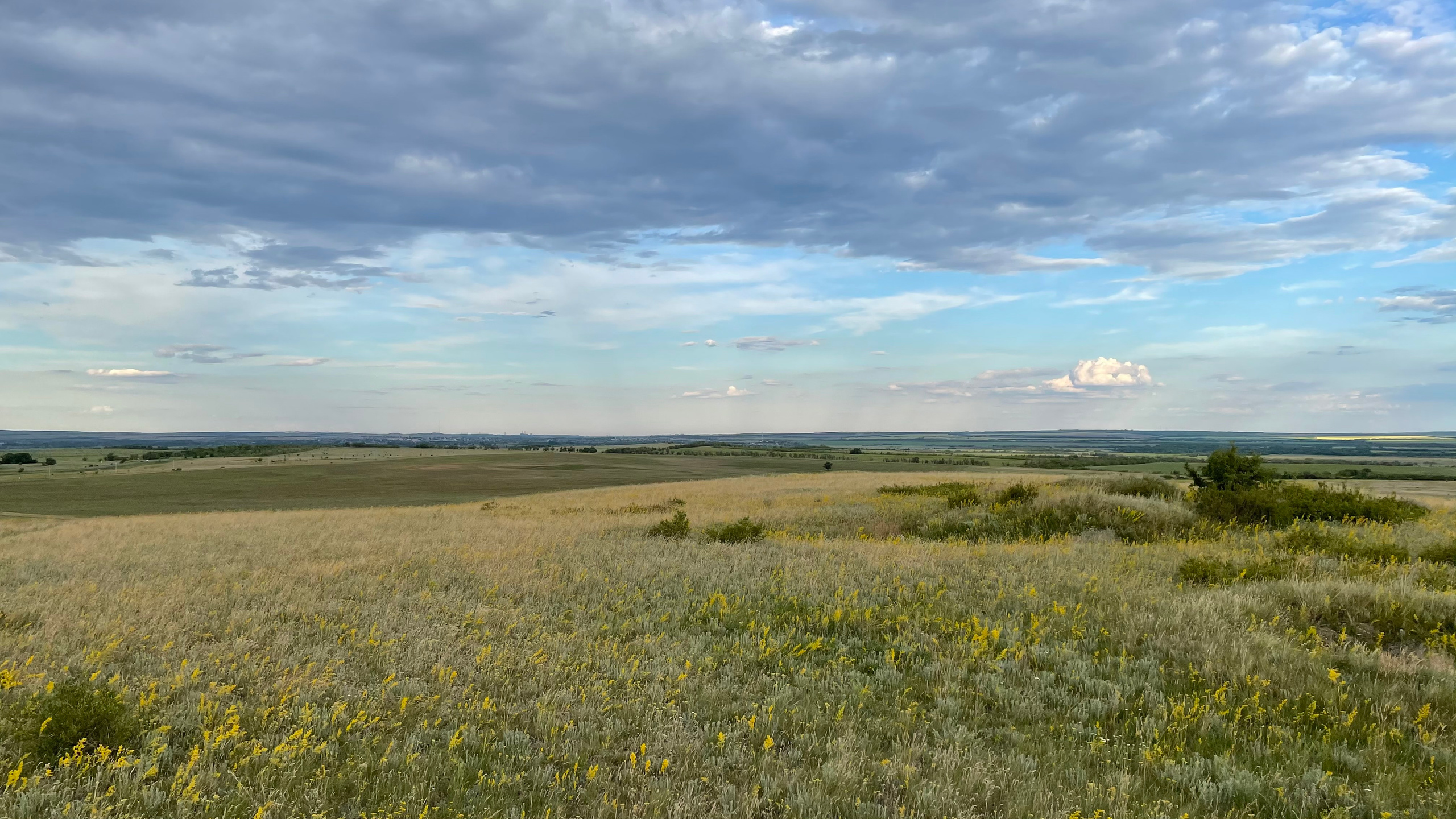 10 511 Степь. ВИЗУАЛЬНЫЕ И ЗВУКОВЫЕ РЕШЕНИЯ ДЛЯ БИЗНЕСА И СЪЁМОК ТЕЛЕТЕЛА