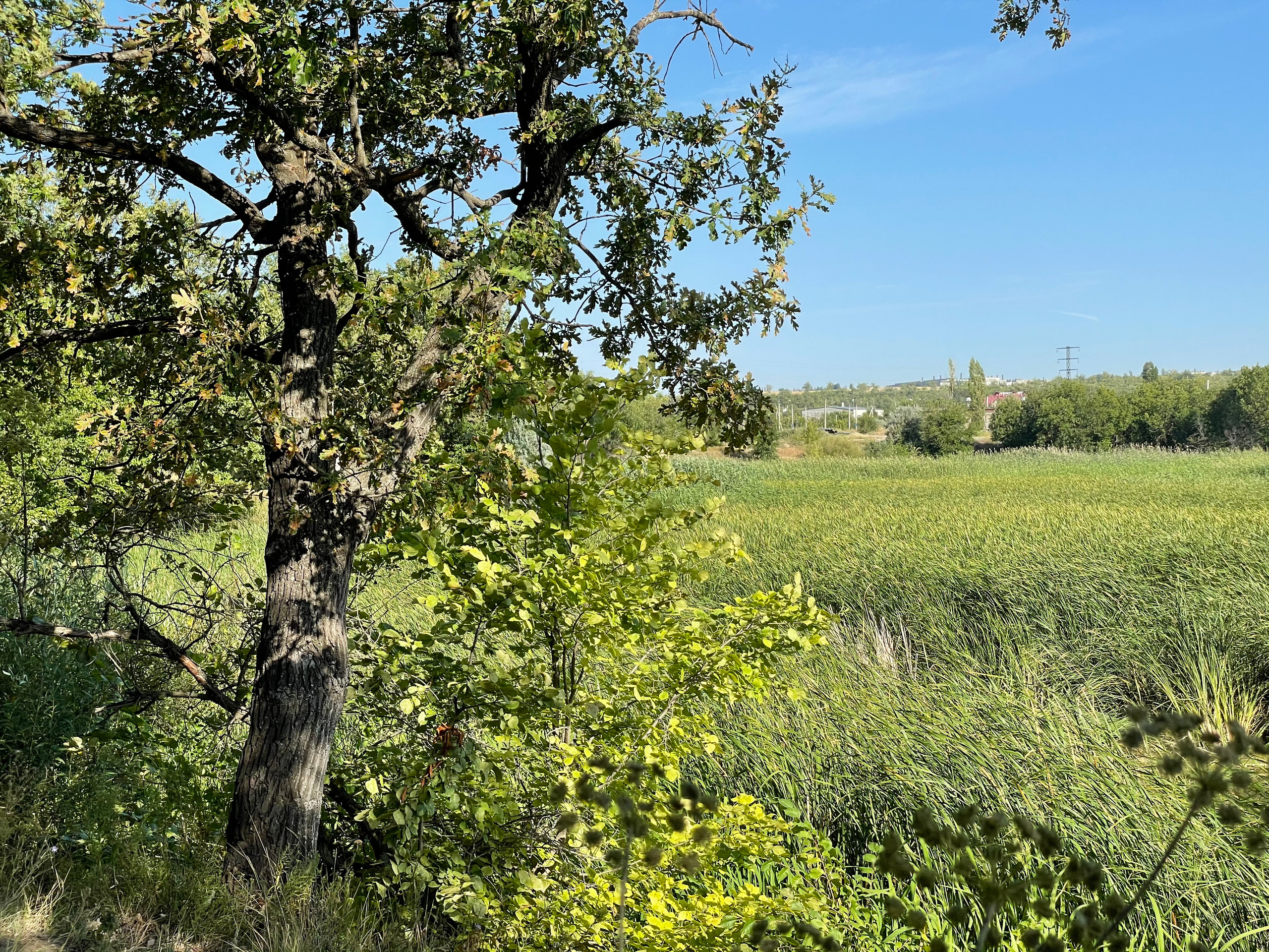 10 020 Берег. ВИЗУАЛЬНЫЕ И ЗВУКОВЫЕ РЕШЕНИЯ ДЛЯ БИЗНЕСА И СЪЁМОК ТЕЛЕТЕЛА