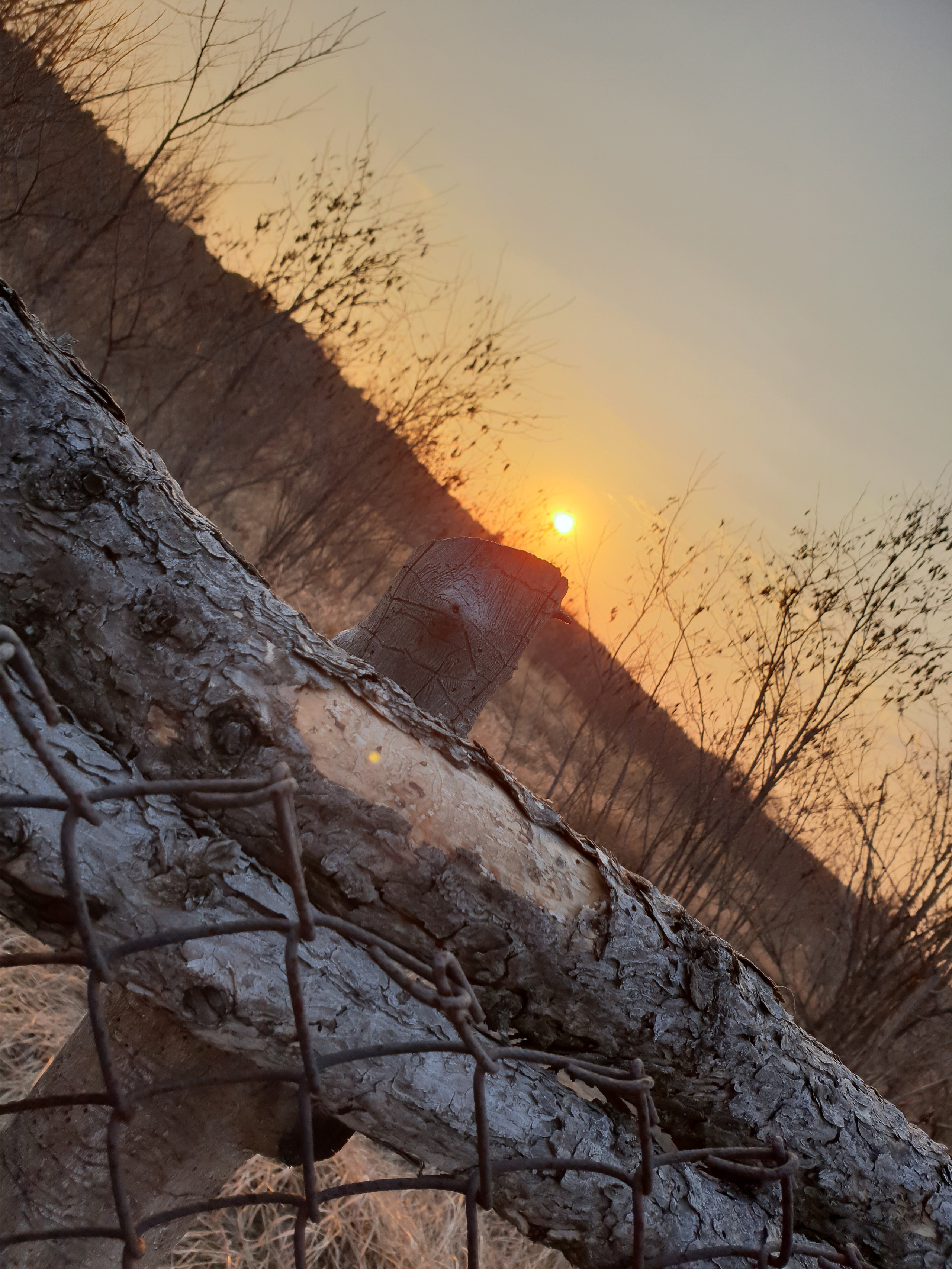 200 008 Изгородь. ВИЗУАЛЬНЫЕ И ЗВУКОВЫЕ РЕШЕНИЯ ДЛЯ БИЗНЕСА И СЪЁМОК ТЕЛЕТЕЛА