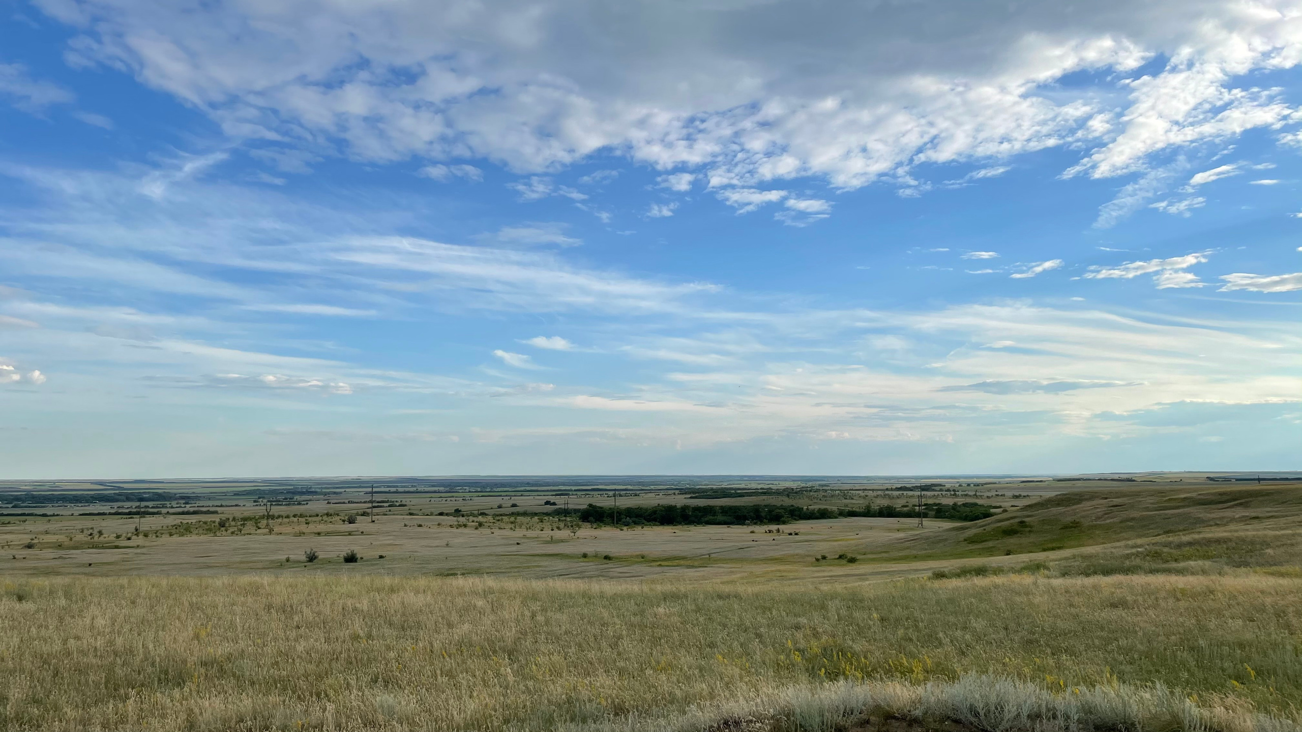 10 511 Степь. ВИЗУАЛЬНЫЕ И ЗВУКОВЫЕ РЕШЕНИЯ ДЛЯ БИЗНЕСА И СЪЁМОК ТЕЛЕТЕЛА