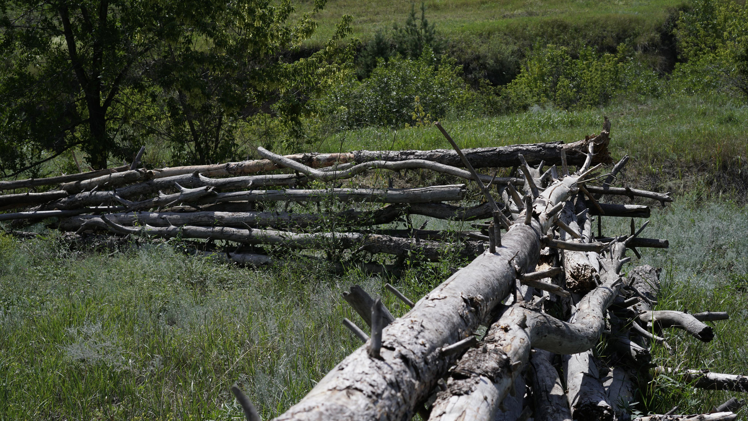 12 250 Овраг, лес, река, плетень. ВИЗУАЛЬНЫЕ И ЗВУКОВЫЕ РЕШЕНИЯ ДЛЯ БИЗНЕСА И СЪЁМОК ТЕЛЕТЕЛА