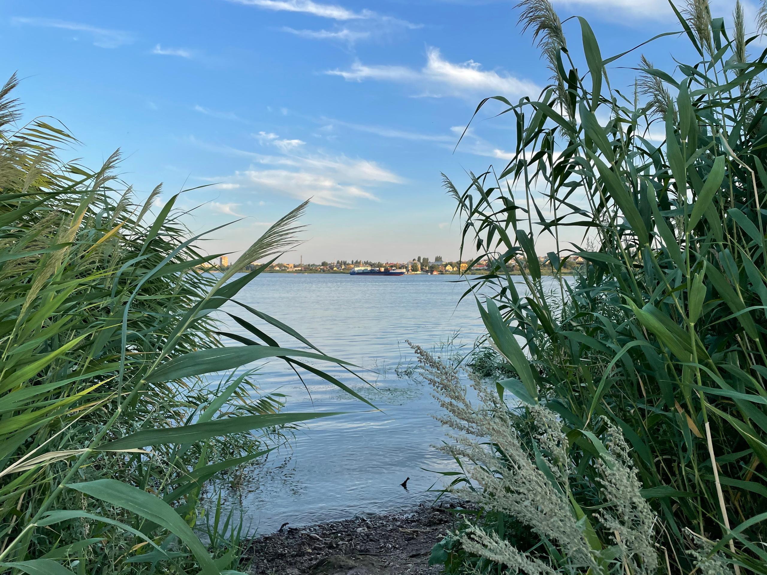 10 033 Берег. ВИЗУАЛЬНЫЕ И ЗВУКОВЫЕ РЕШЕНИЯ ДЛЯ БИЗНЕСА И СЪЁМОК ТЕЛЕТЕЛА