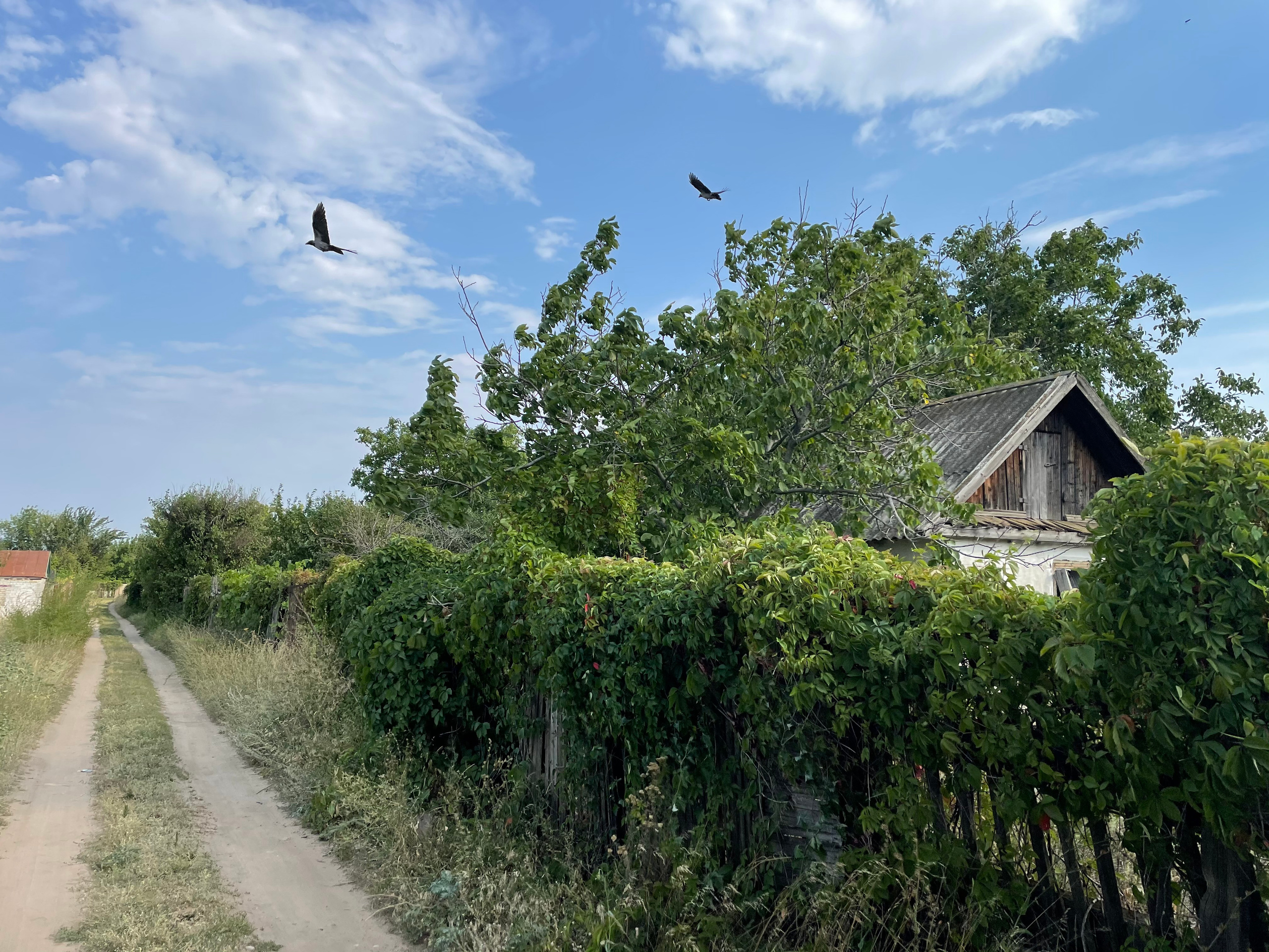 50 020 Дорога грунтовая. ВИЗУАЛЬНЫЕ И ЗВУКОВЫЕ РЕШЕНИЯ ДЛЯ БИЗНЕСА И СЪЁМОК ТЕЛЕТЕЛА