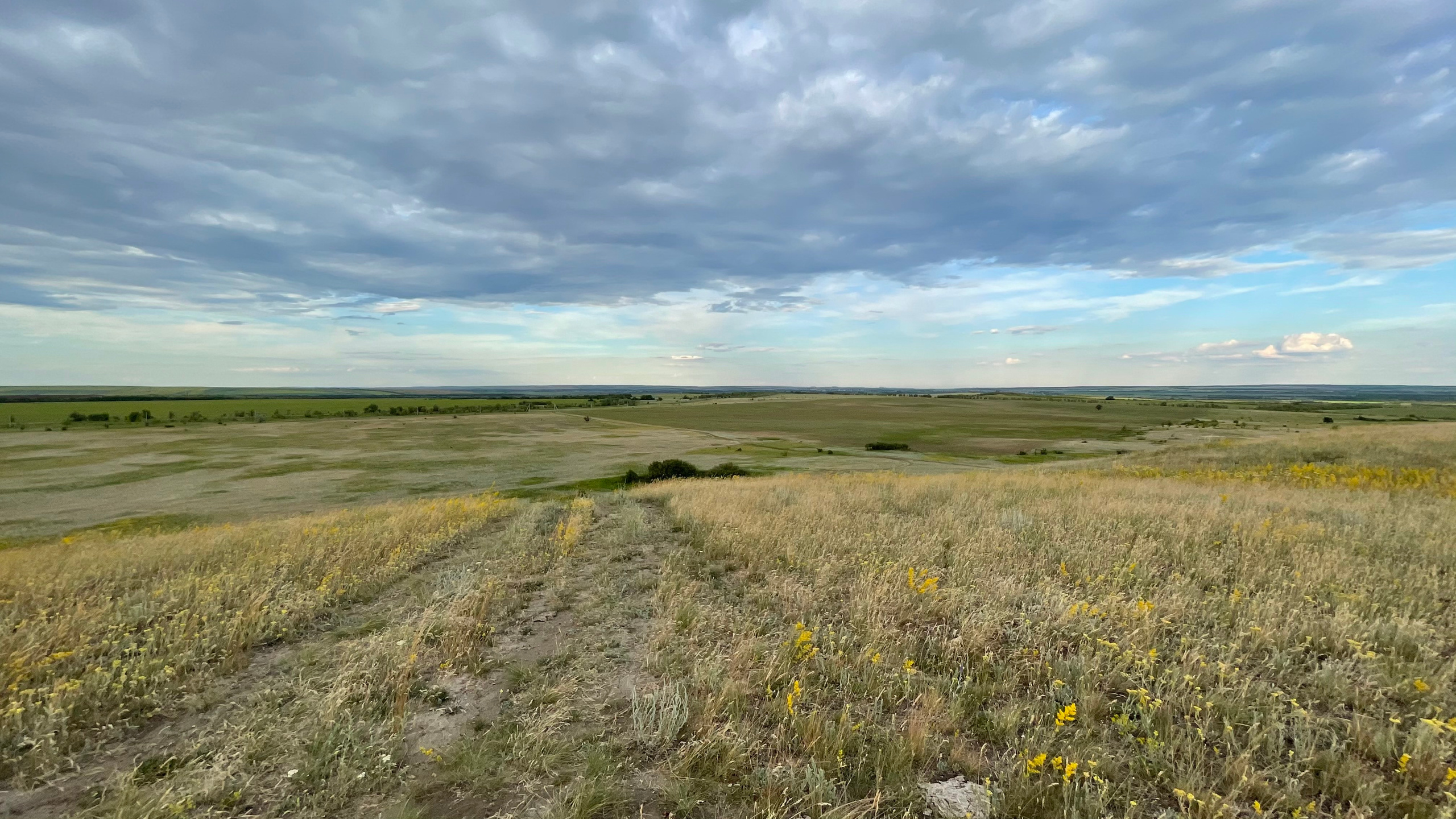 10 511 Степь. ВИЗУАЛЬНЫЕ И ЗВУКОВЫЕ РЕШЕНИЯ ДЛЯ БИЗНЕСА И СЪЁМОК ТЕЛЕТЕЛА