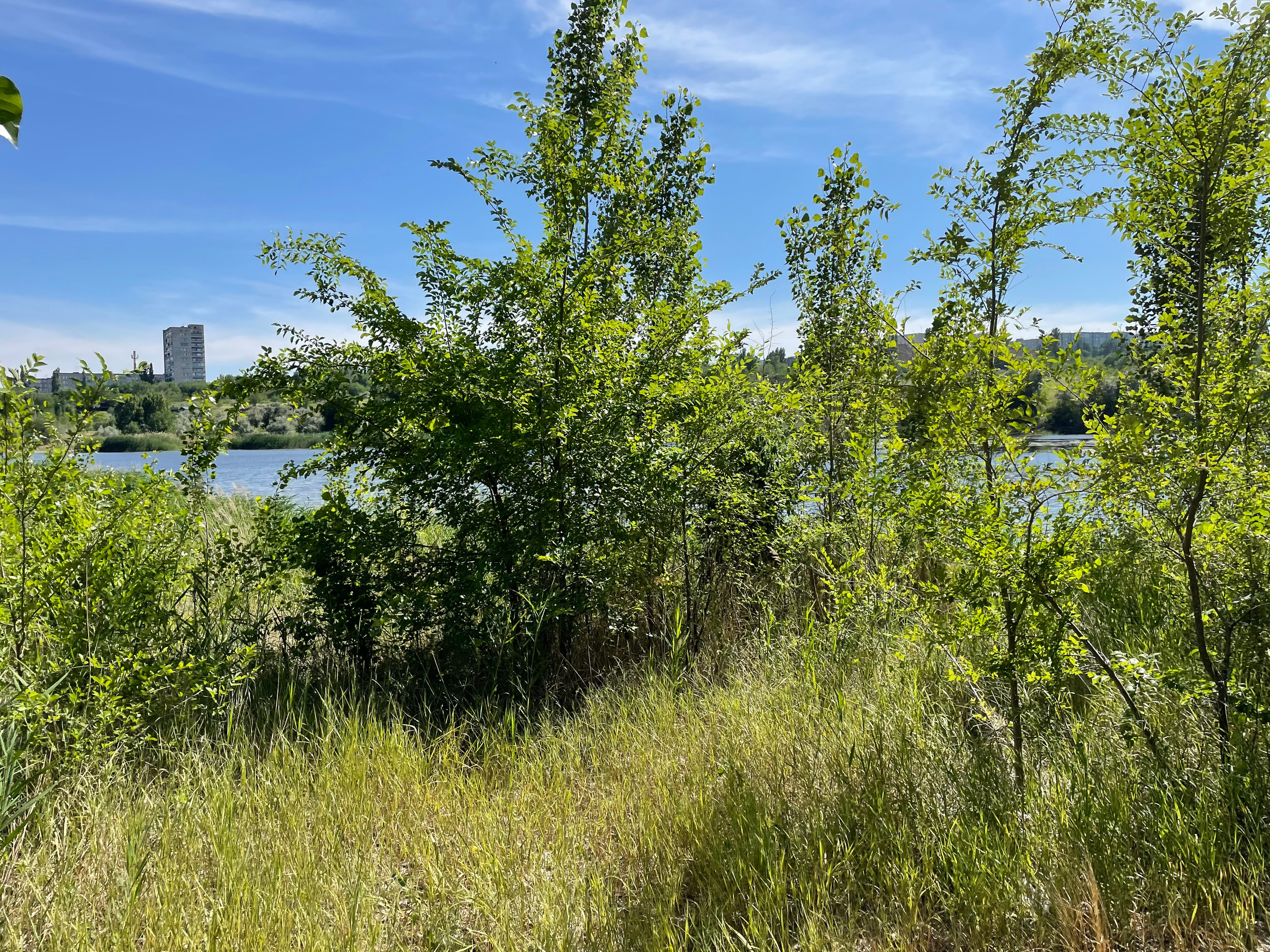 10 049 Берег. ВИЗУАЛЬНЫЕ И ЗВУКОВЫЕ РЕШЕНИЯ ДЛЯ БИЗНЕСА И СЪЁМОК ТЕЛЕТЕЛА