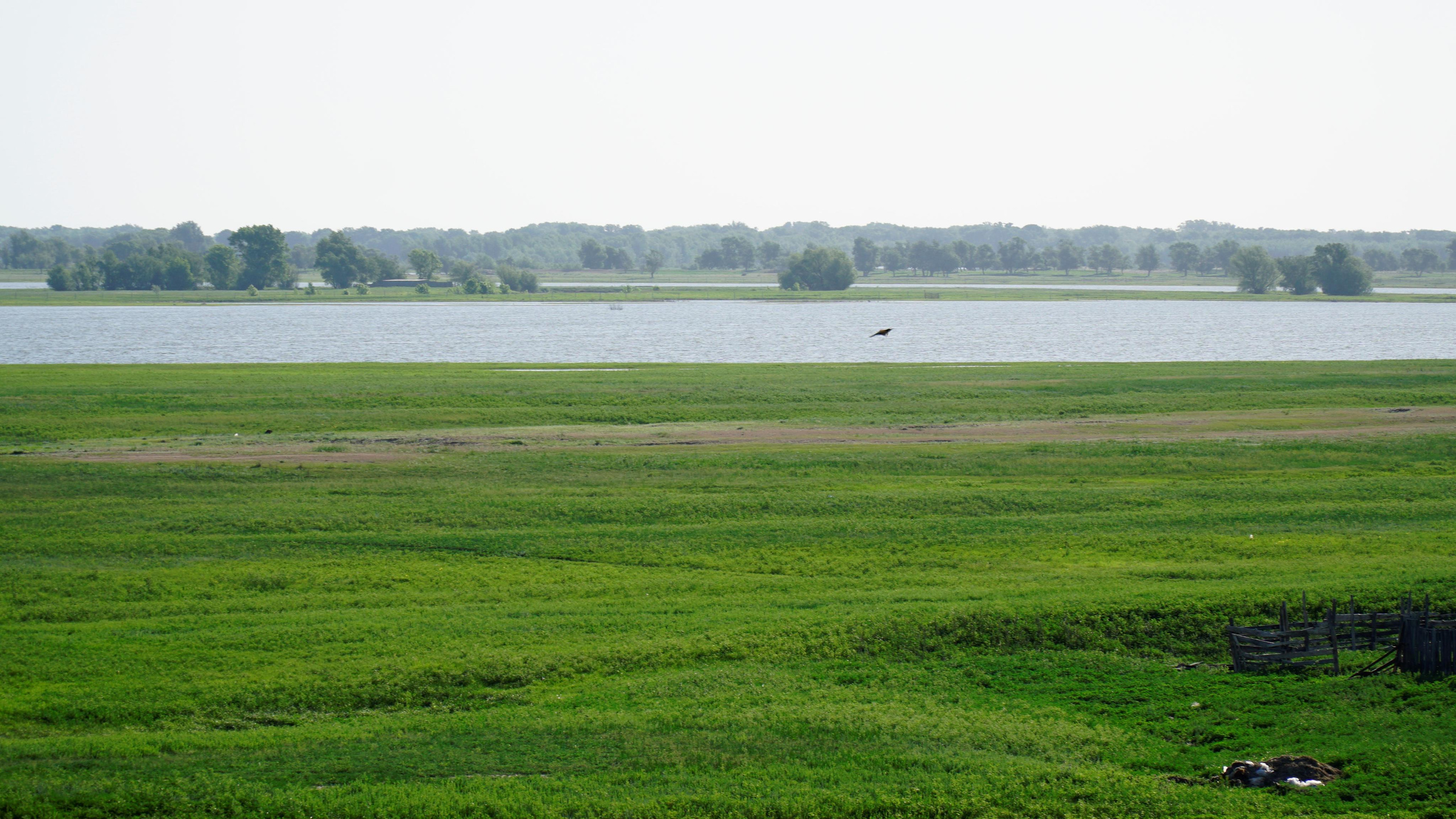 10 066 Берег. ВИЗУАЛЬНЫЕ И ЗВУКОВЫЕ РЕШЕНИЯ ДЛЯ БИЗНЕСА И СЪЁМОК ТЕЛЕТЕЛА