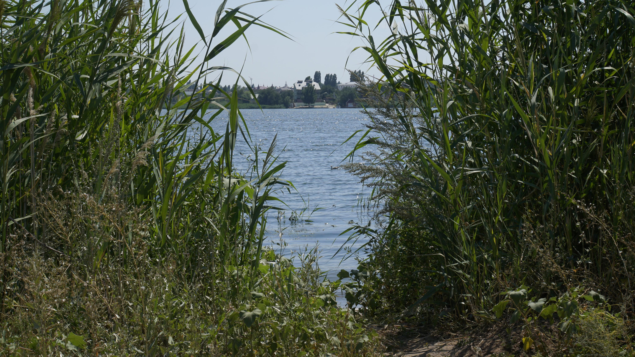 10 013 Берег. ВИЗУАЛЬНЫЕ И ЗВУКОВЫЕ РЕШЕНИЯ ДЛЯ БИЗНЕСА И СЪЁМОК ТЕЛЕТЕЛА